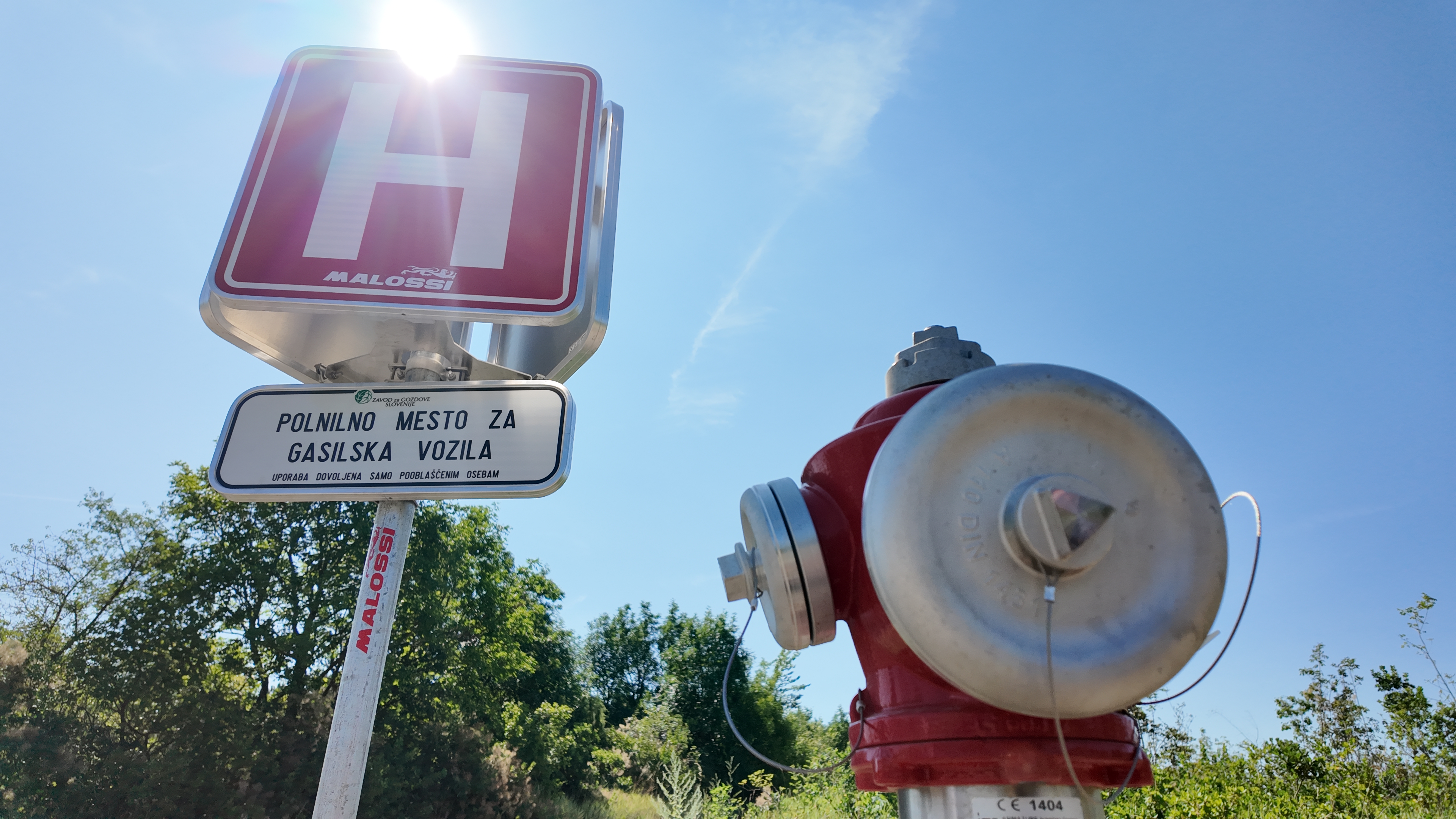 Kras, gozd, požarne preseke, narava, drevesa, hidrant