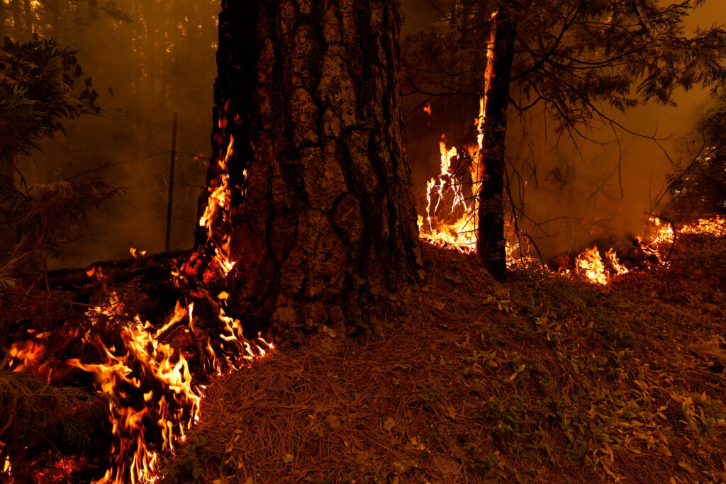 1722160910-2024-07-28T001210Z_667799208_RC2049ALH5ST_RTRMADP_3_USA-WILDFIRES-1024x683.jpg
