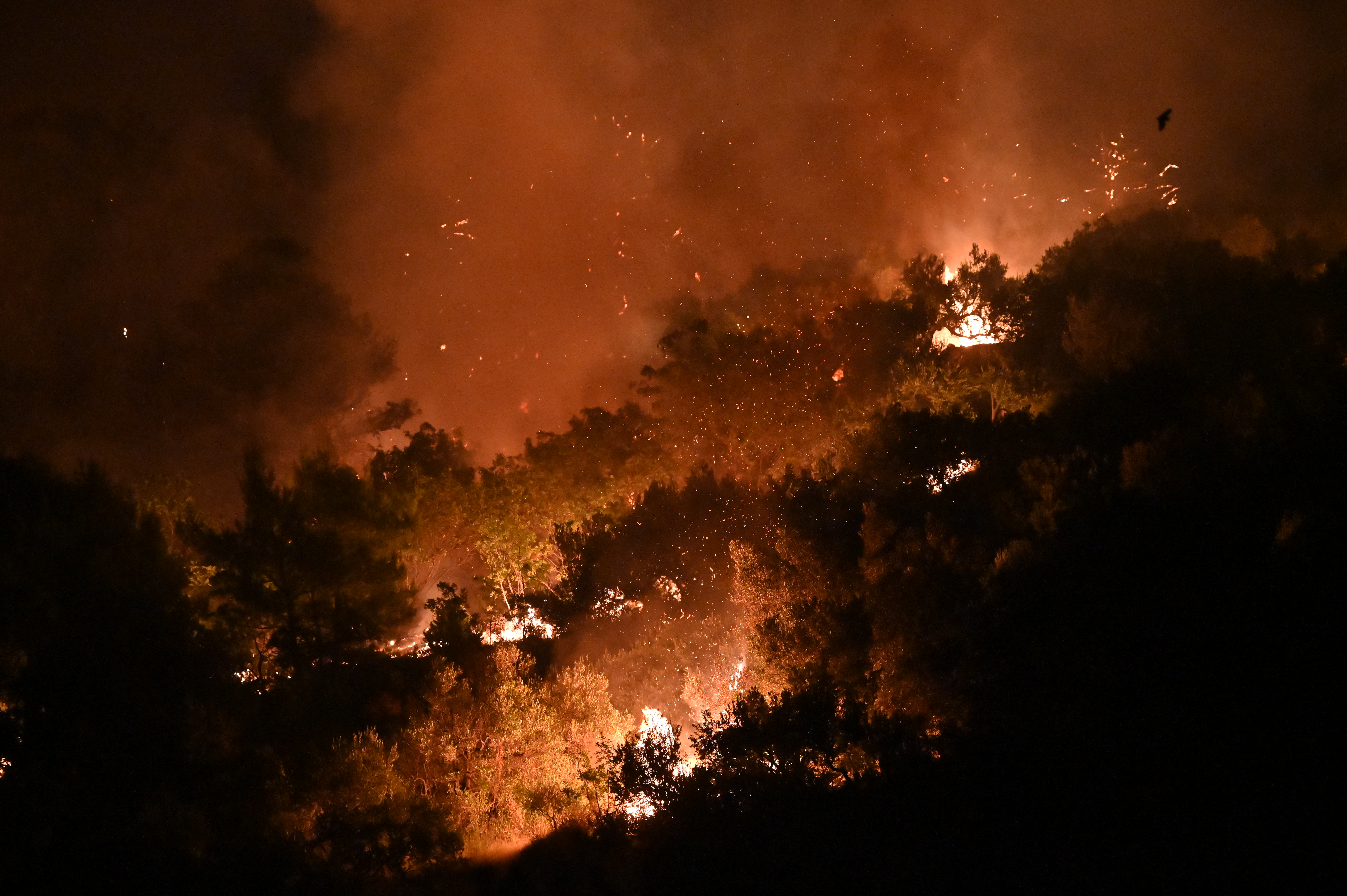 Požar v Tučepih (Foto: Matko Begovic/PIXSELL/BOBO)