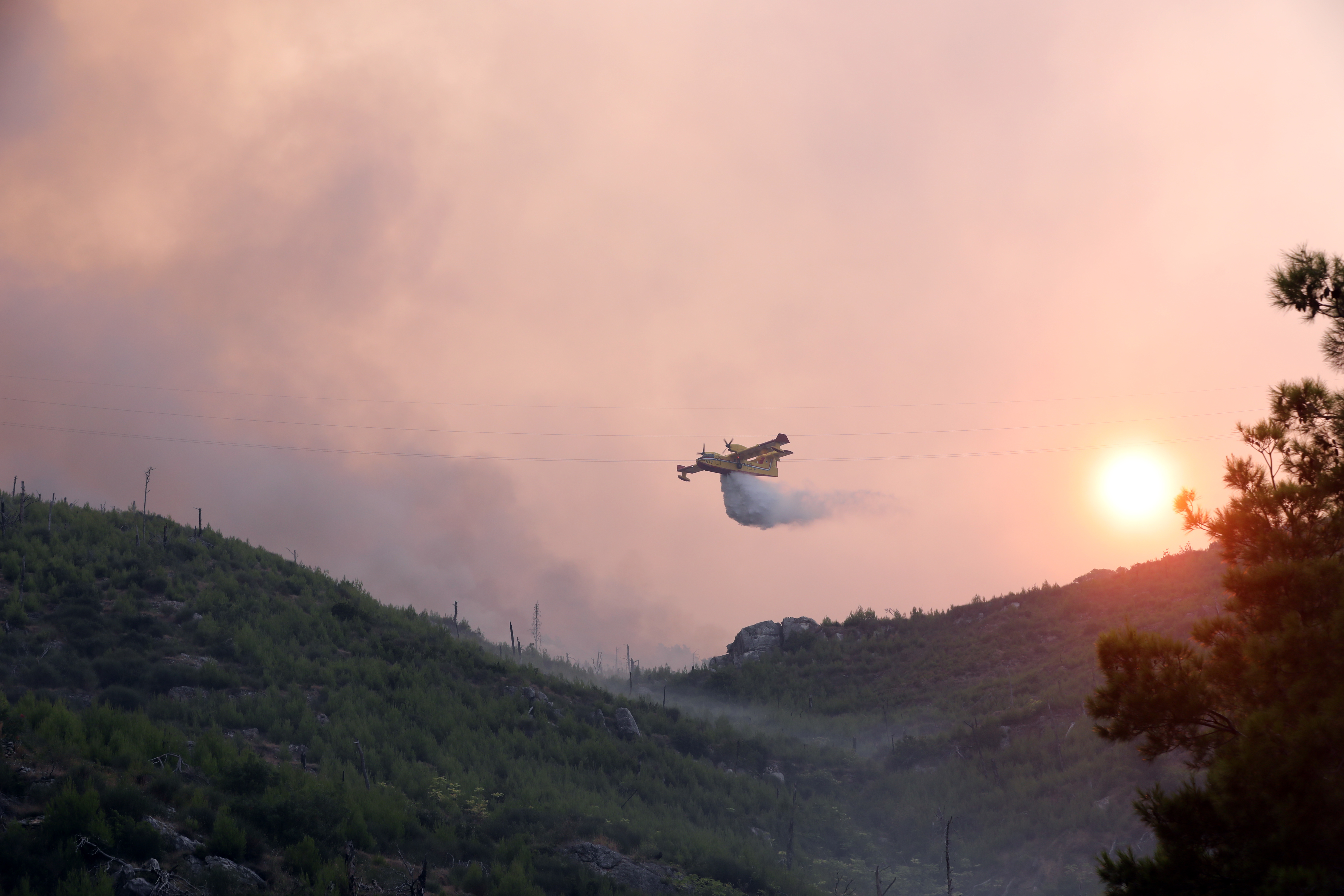 Požar v Tučepih (Foto: Ivo Cagalj/PIXSELL/BOBO)