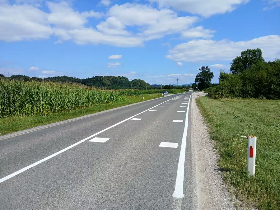 zmajevi zobje, prehod za pešce, ljubljana