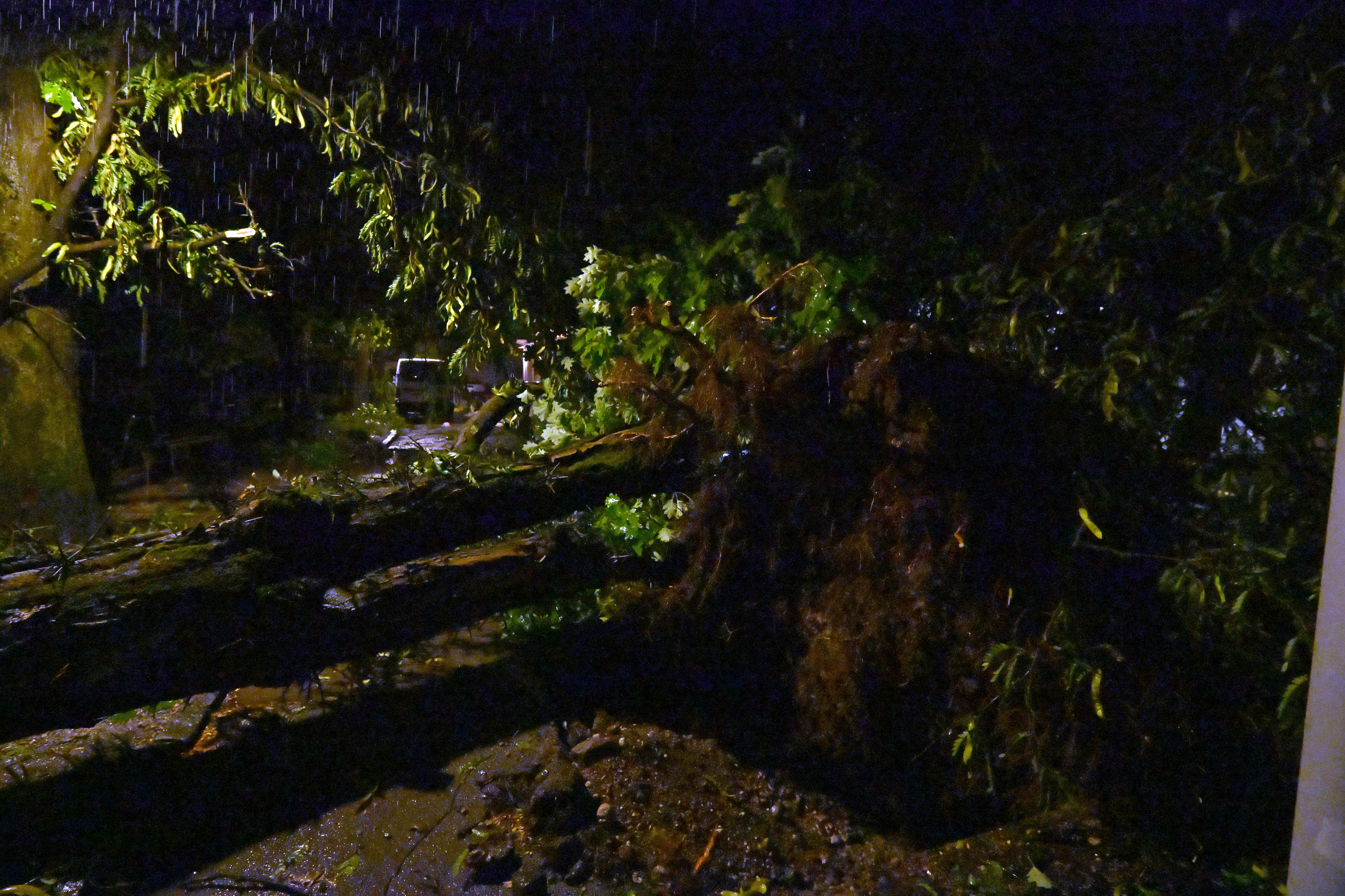 Veter je podiral drevesa na območju Ljubljane, 7. avgust. (Foto: Igor Kupljenik/BOBO)