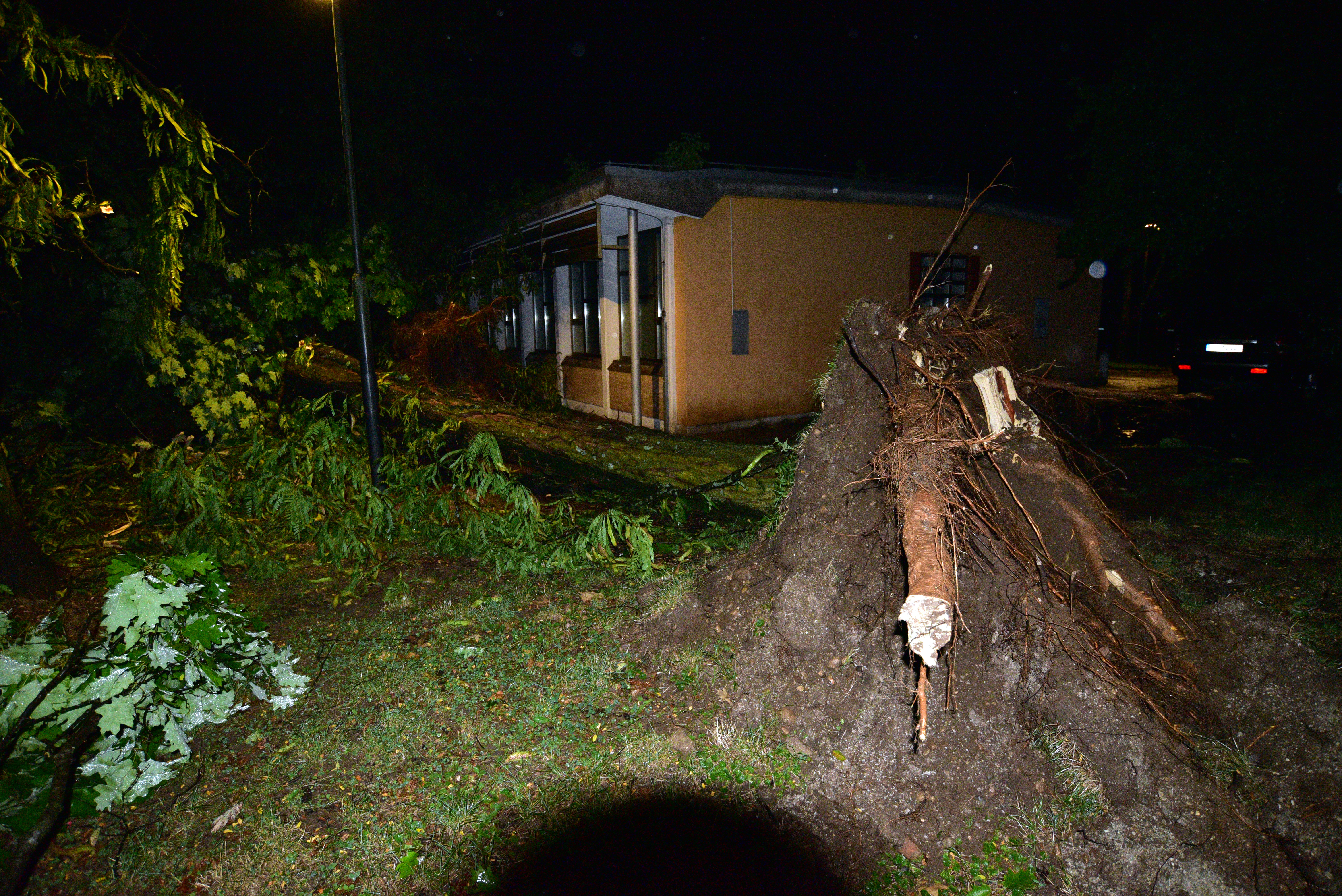 Veter je podiral drevesa na območju Ljubljane, 7. avgust. (Foto: Igor Kupljenik/BOBO)