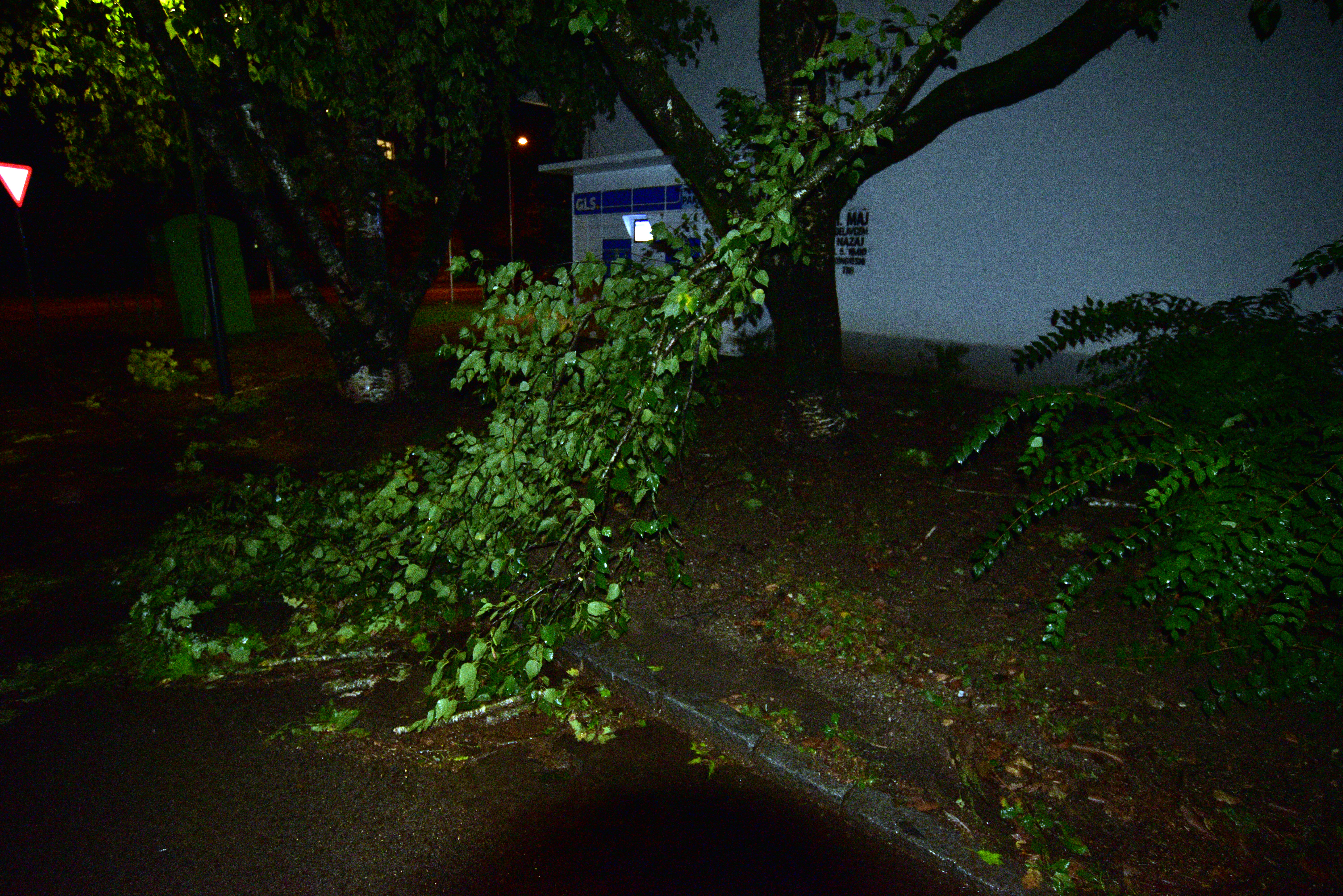 Veter je podiral drevesa na območju Ljubljane, 7. avgust. (Foto: Igor Kupljenik/BOBO)