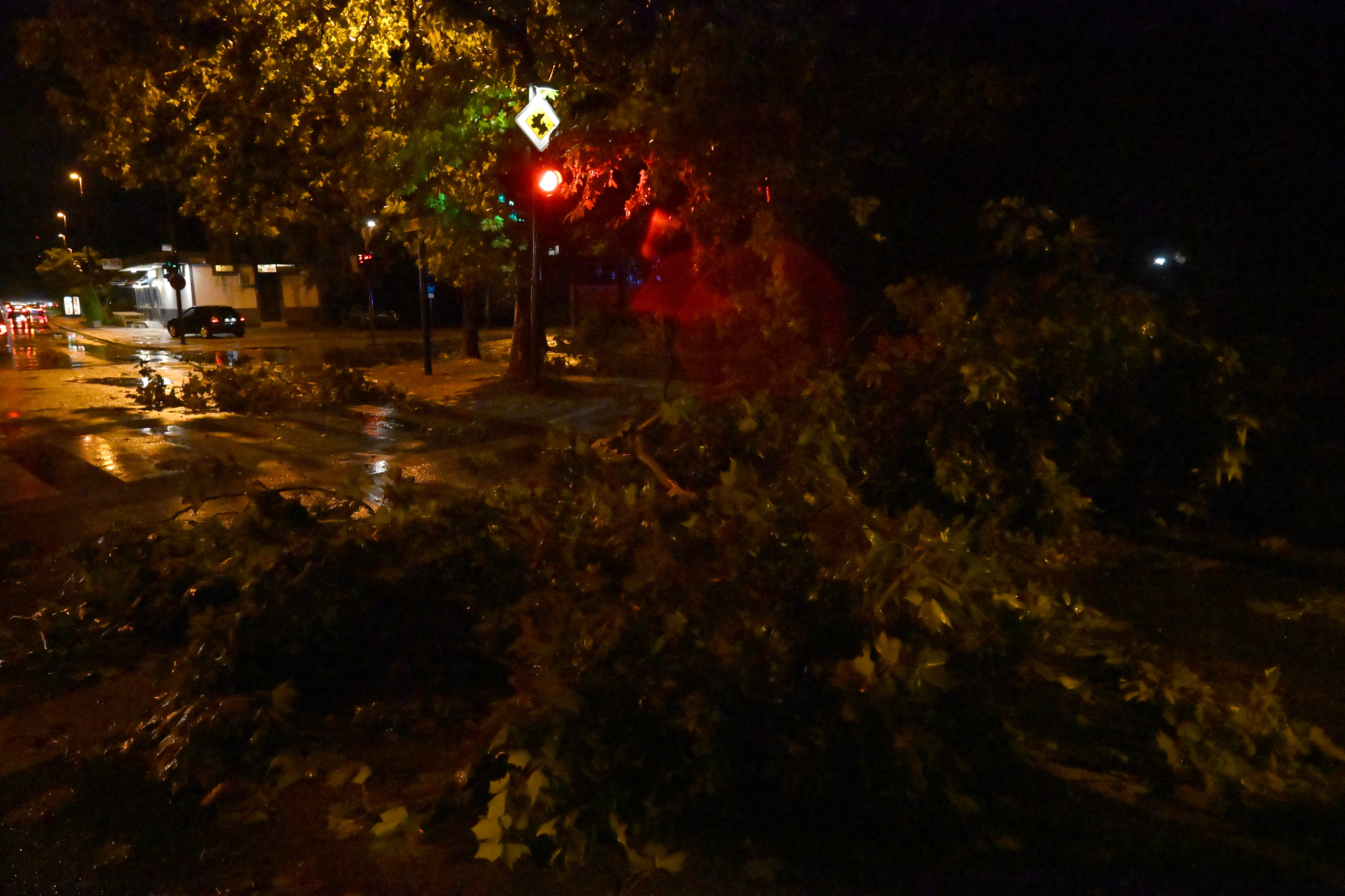 Veter je podiral drevesa na območju Ljubljane, 7. avgust. (Foto: Igor Kupljenik/BOBO)