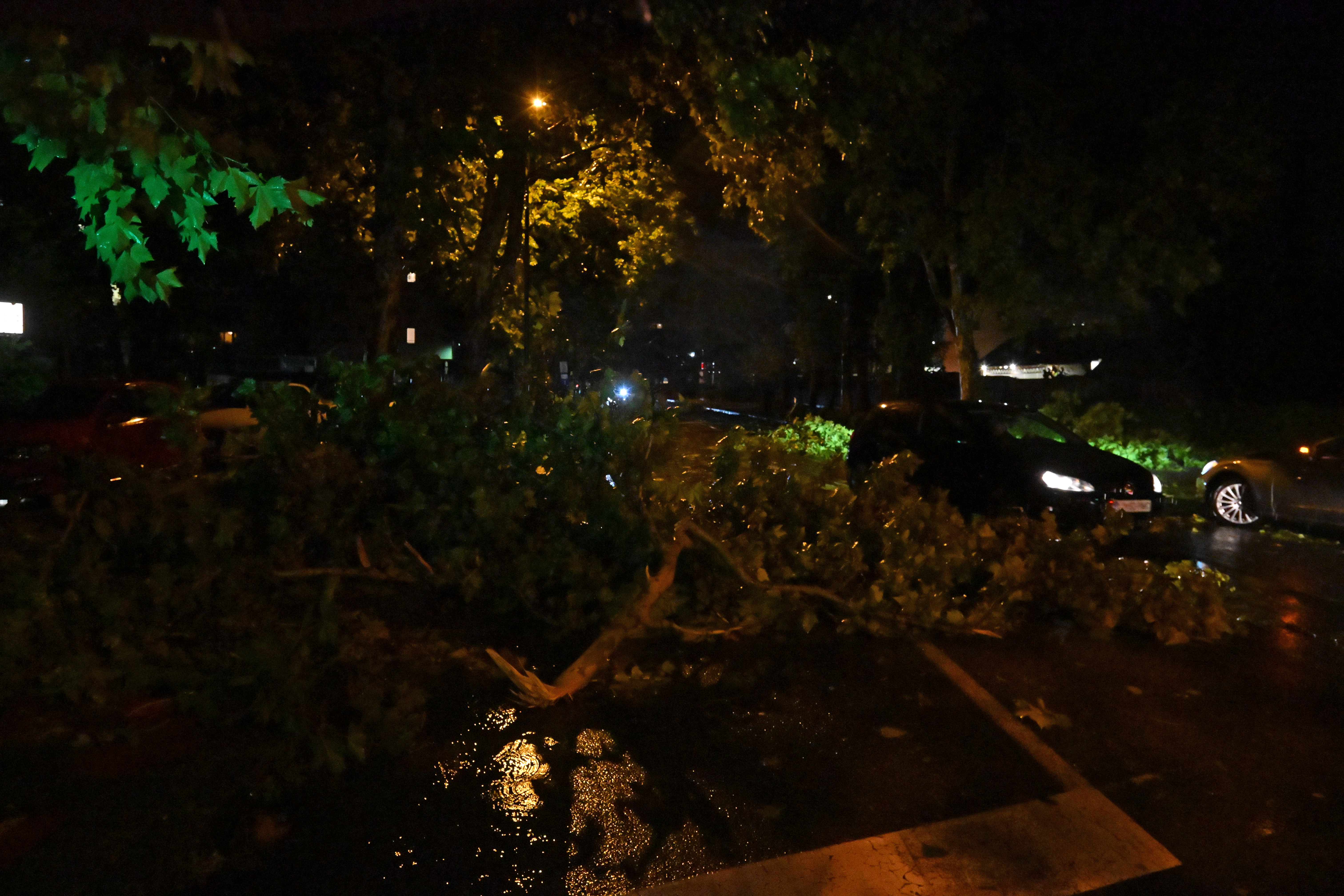 Neurje, nalivi, drevesa, ljubljana, nevihta, vetrolom