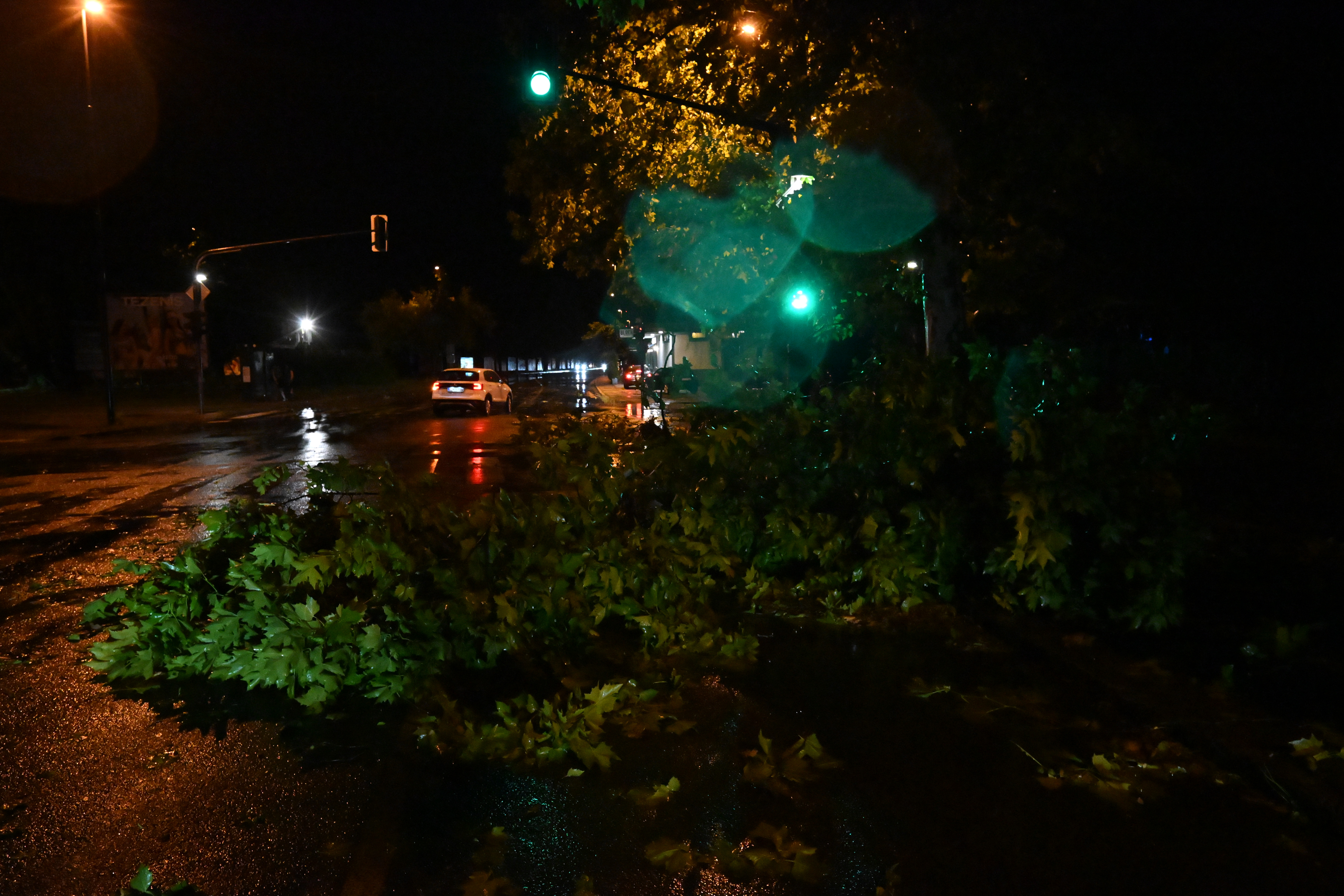 Neurje, nalivi, drevesa, ljubljana, nevihta, vetrolom