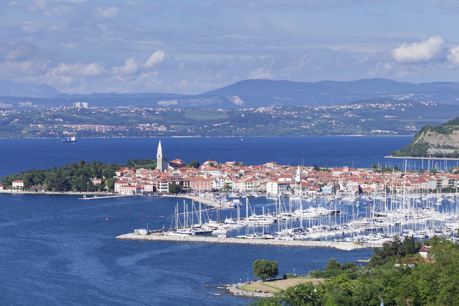 Izola