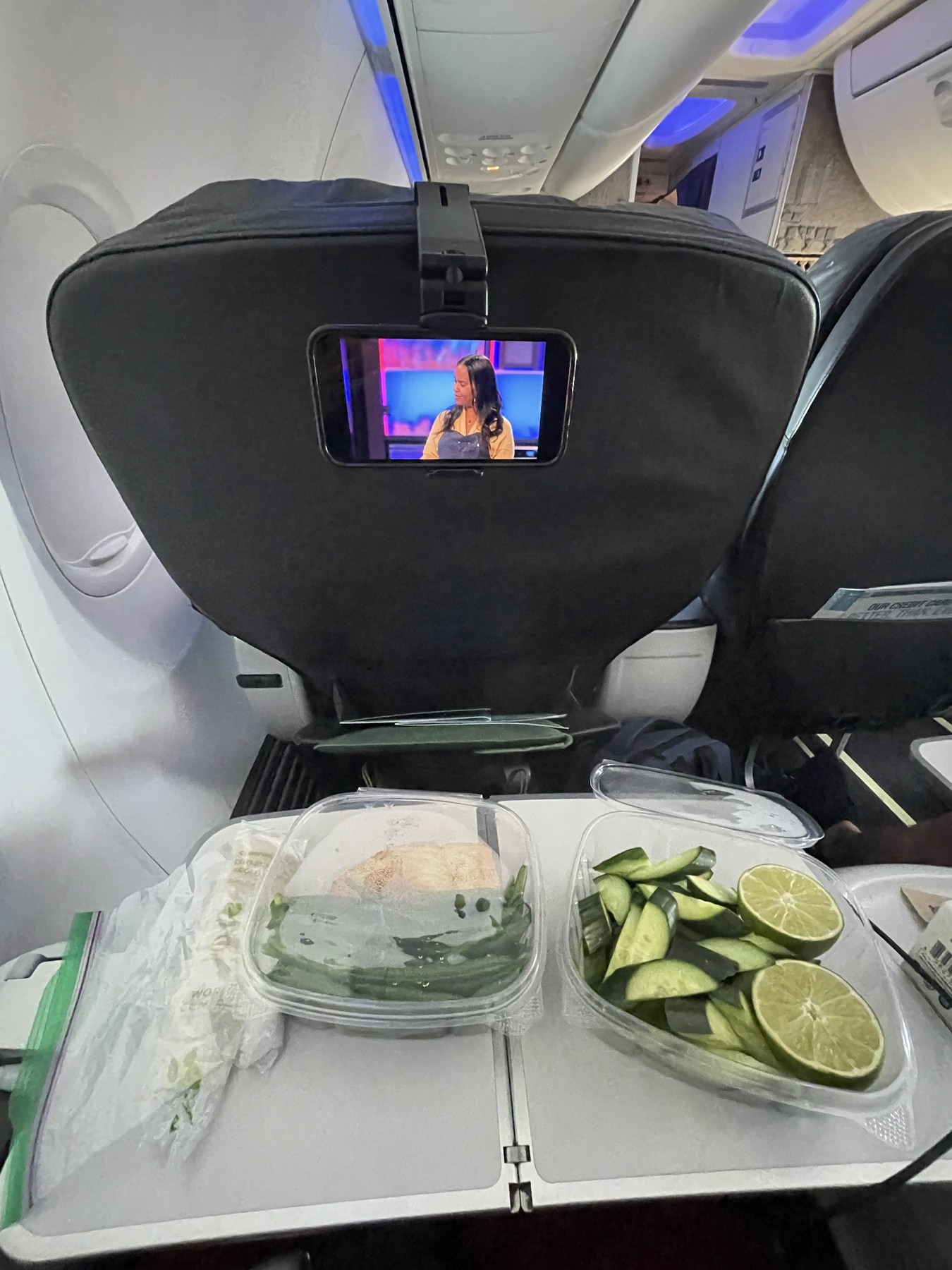 Jenna Gestetner, alergije, mcas