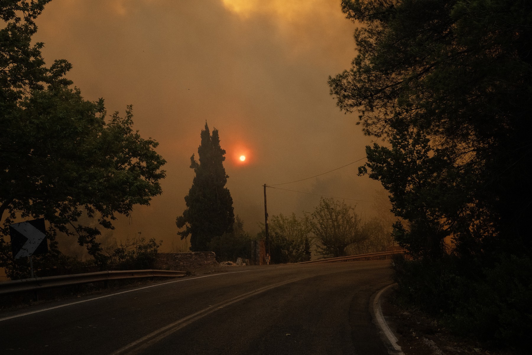 profimedia-0897854092