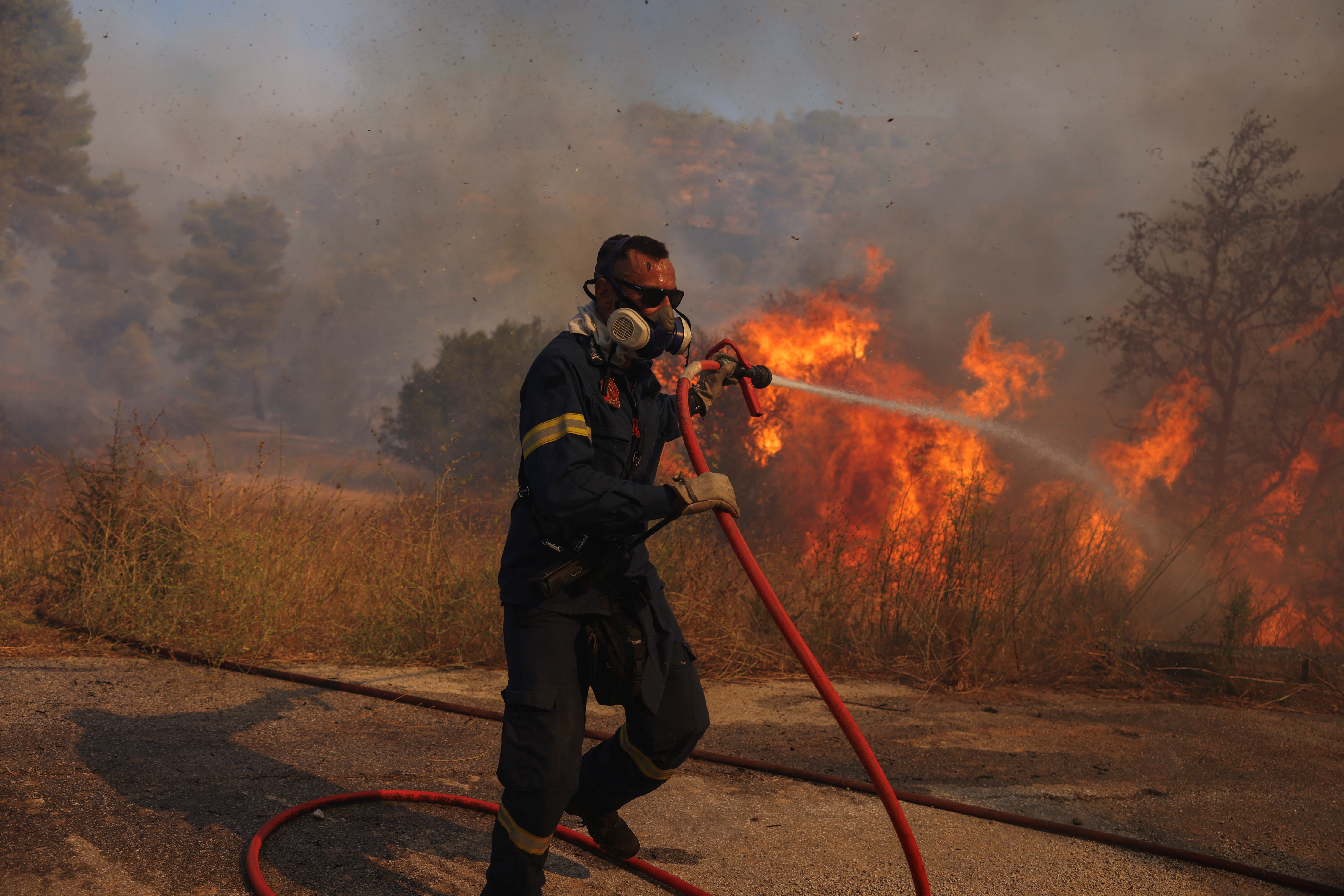 Požari v Grčiji (Foto: Alexandros Avramidis/REUTERS)
