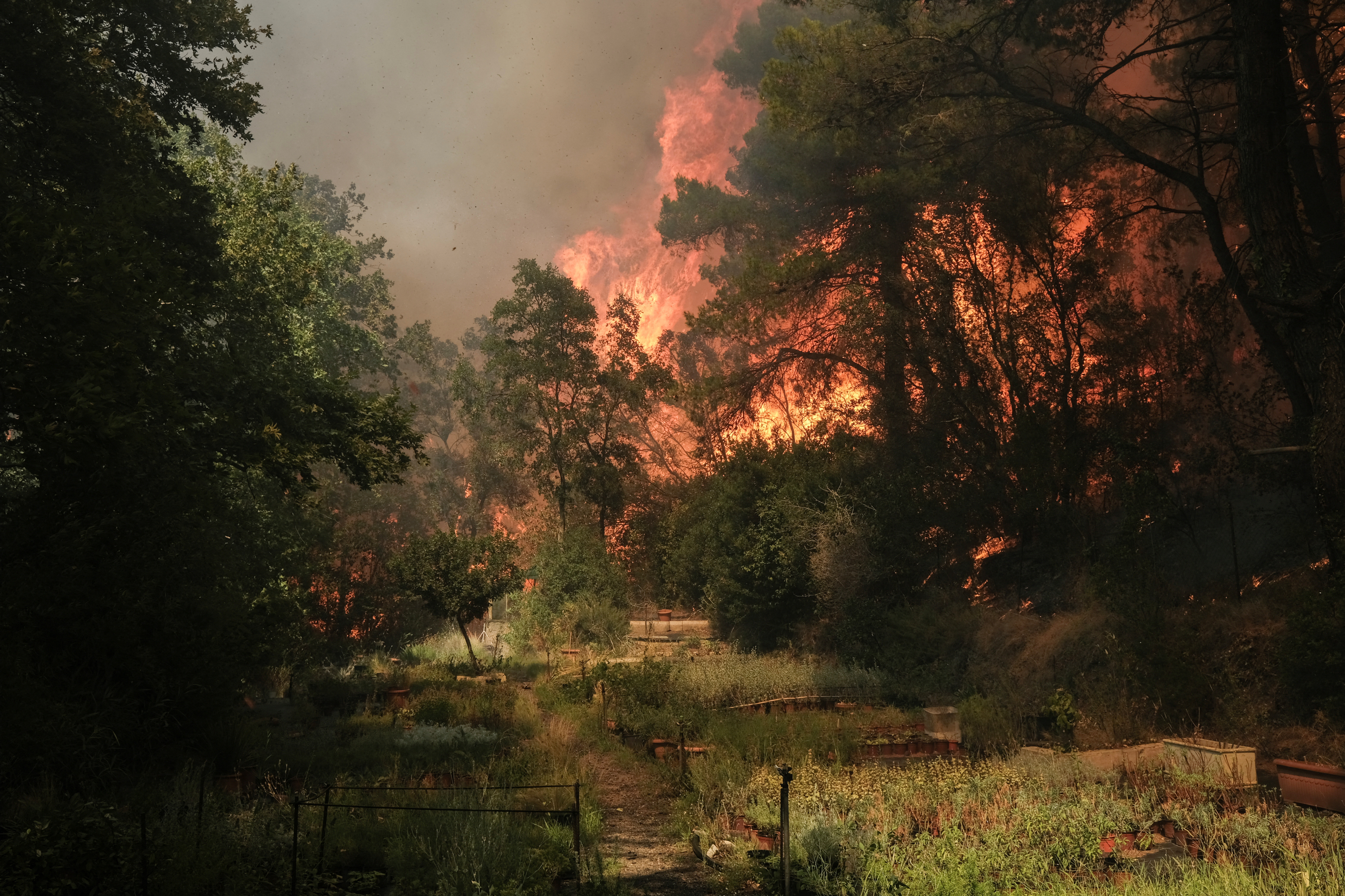 POŽAR, GRČIJA, ATENE
