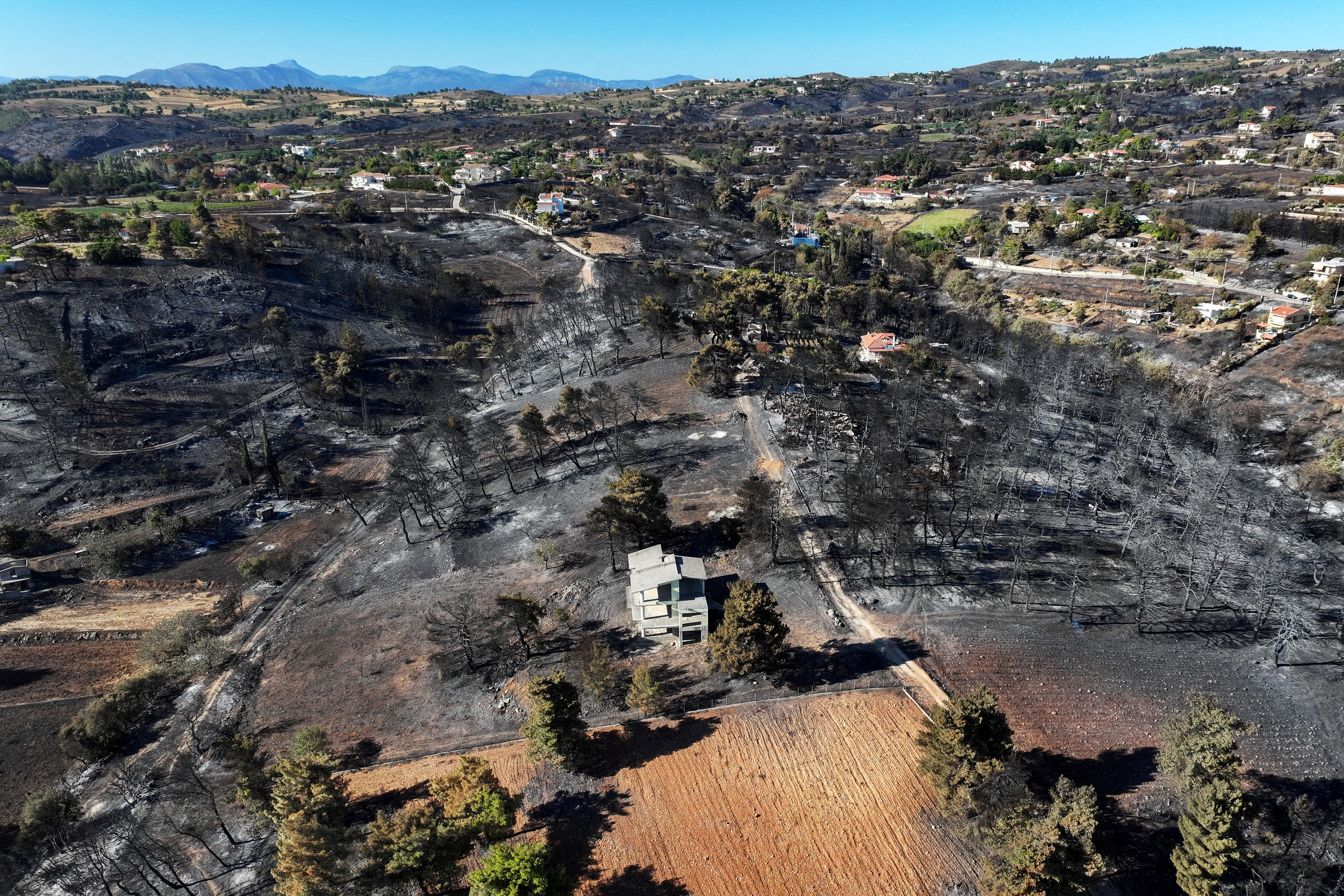 Aftermath of a wildfire in the village of Varnavas, near Athens