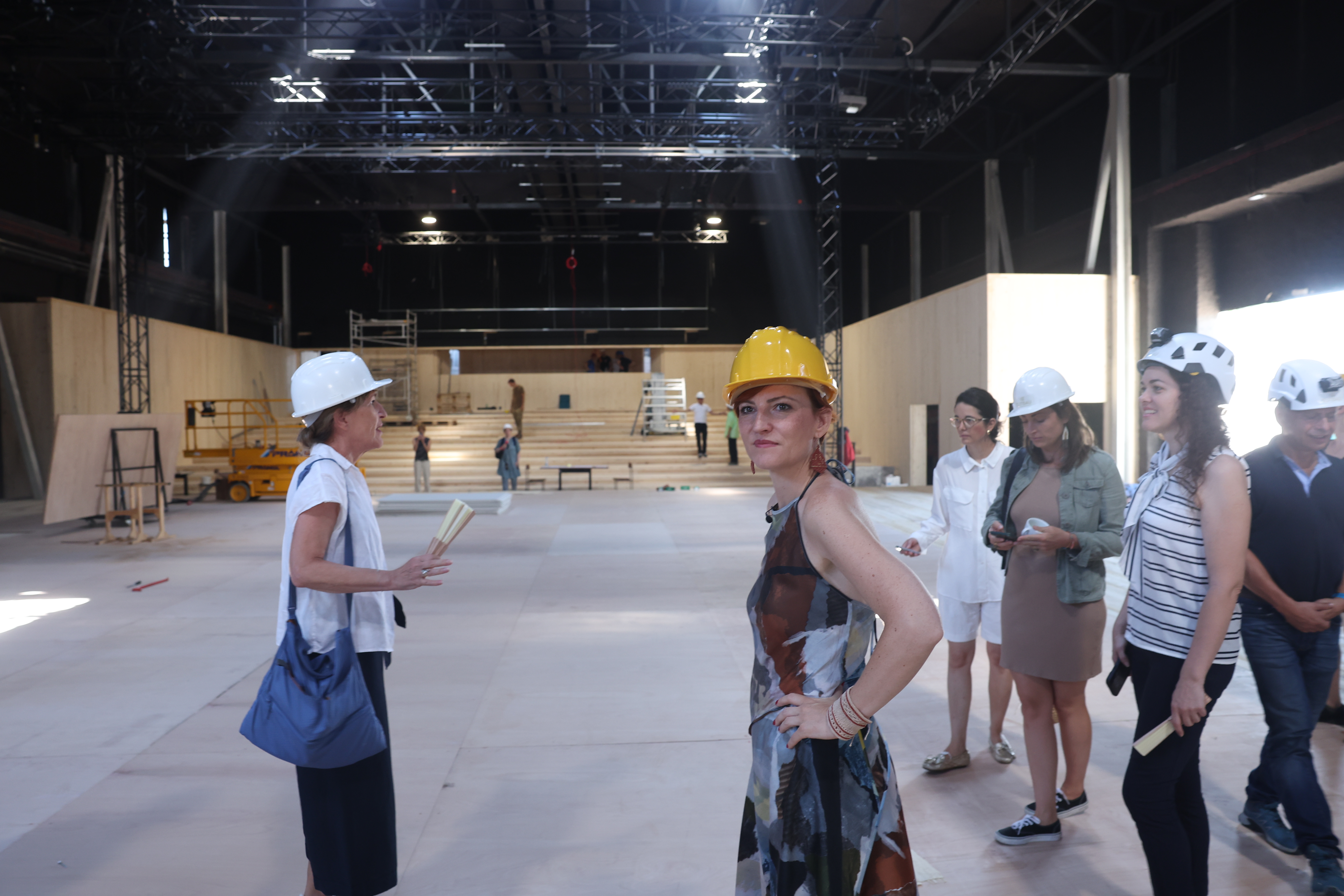 SNG Drama Ljubljana, prenova, Litostrojska, nadomestna lokacija, Asta Vrečko