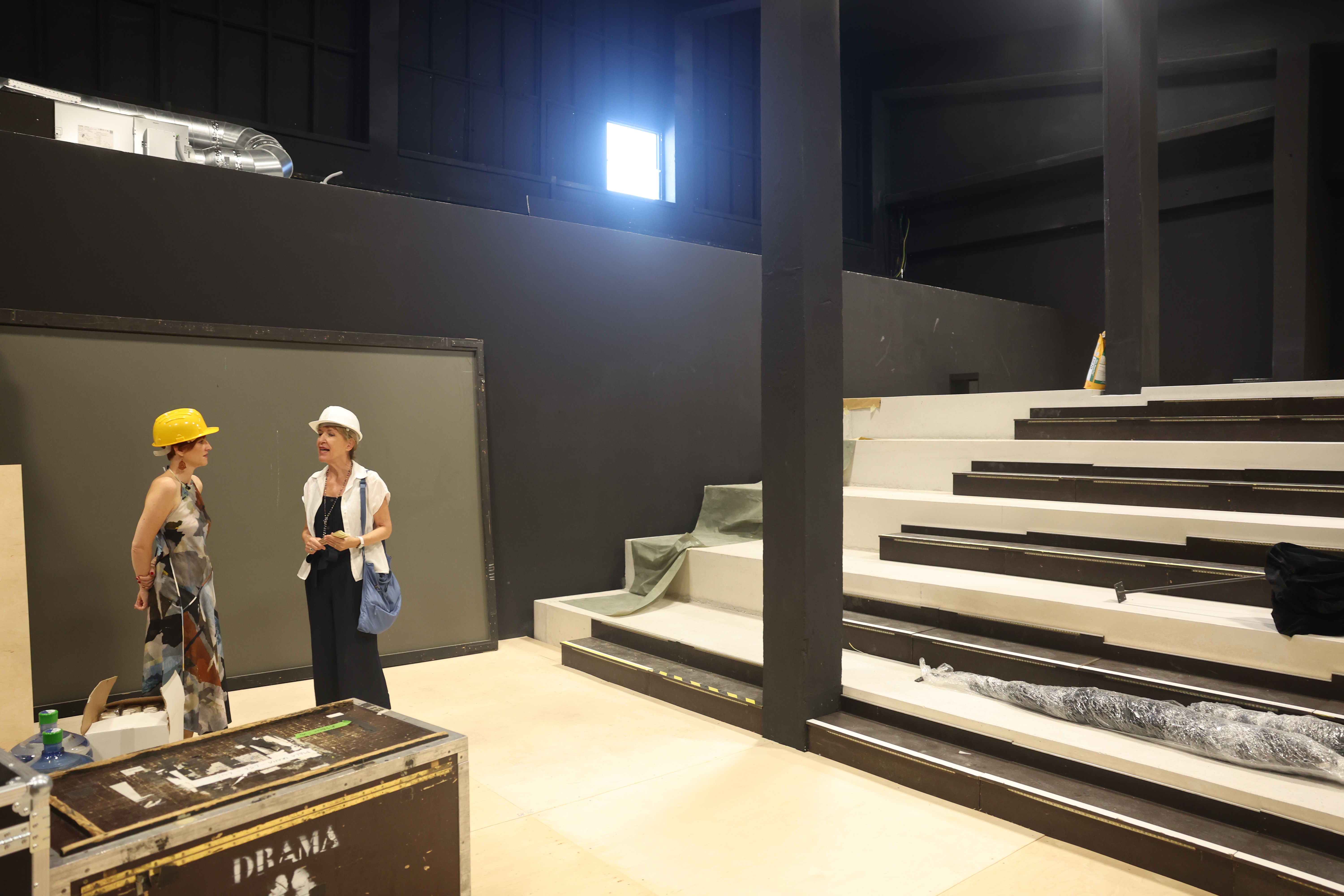 SNG Drama Ljubljana, prenova, Litostrojska, nadomestna lokacija, Asta Vrečko