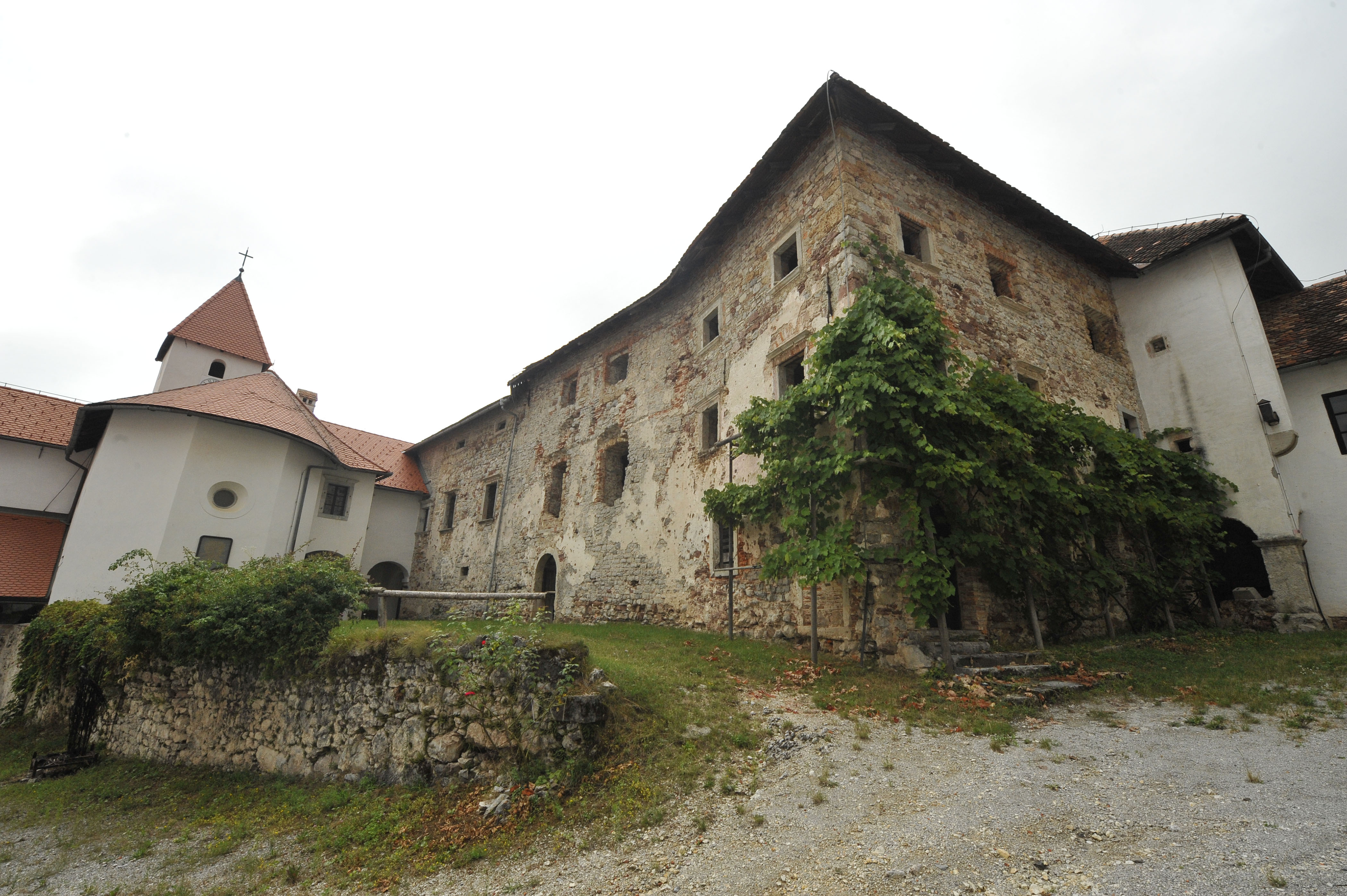 Foto: Žiga Živulović jr./BOBO