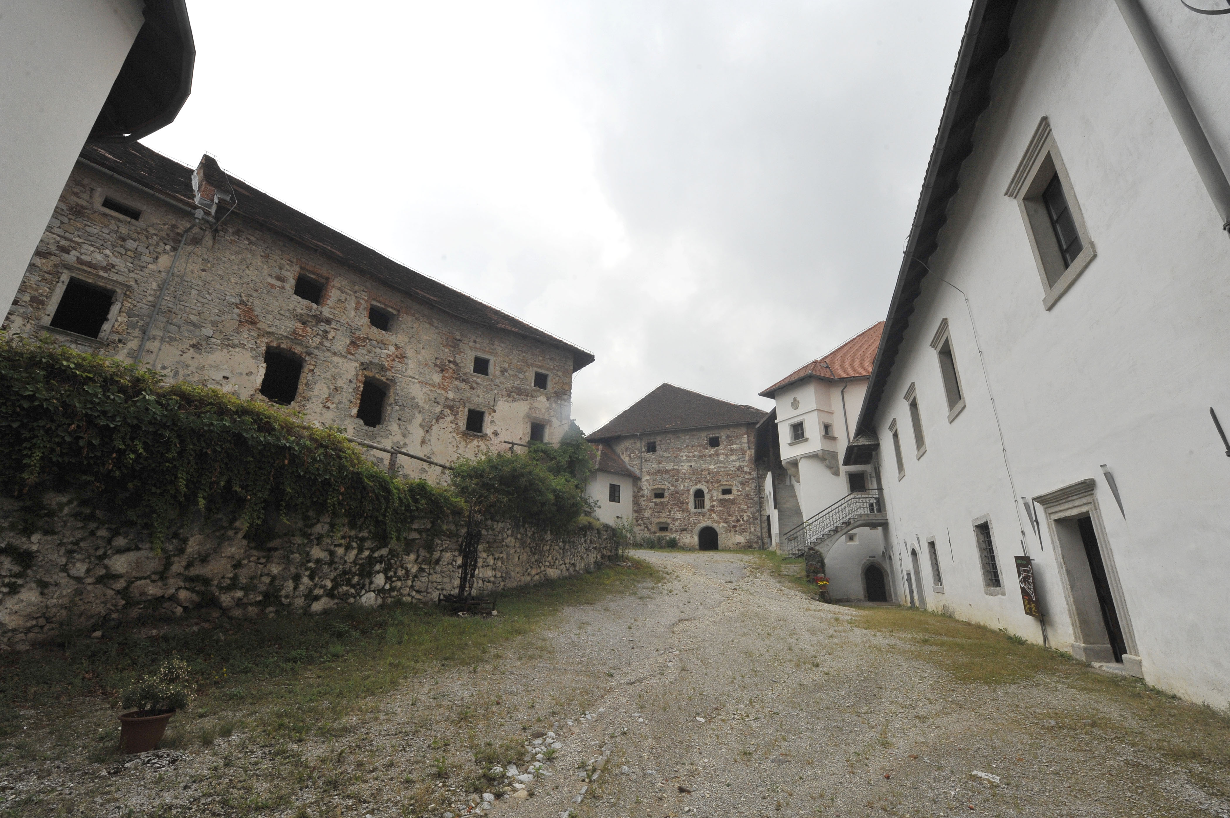 Foto: Žiga Živulović jr./BOBO