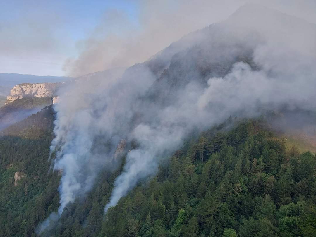 požar, kočevska reka, borovec