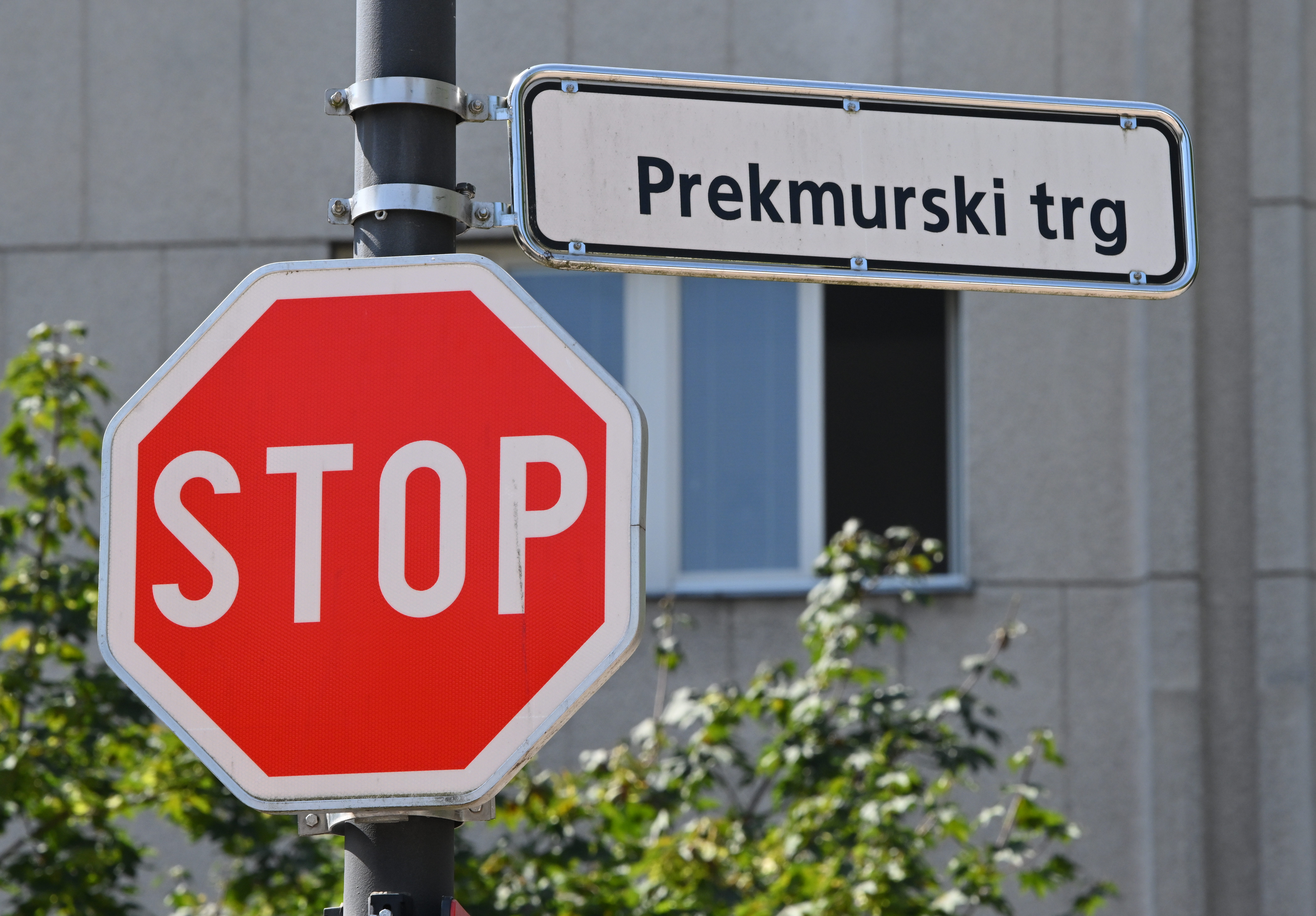 Dan združitve prekmurskih Slovencev z matičnim narodom, Prekmurski trg