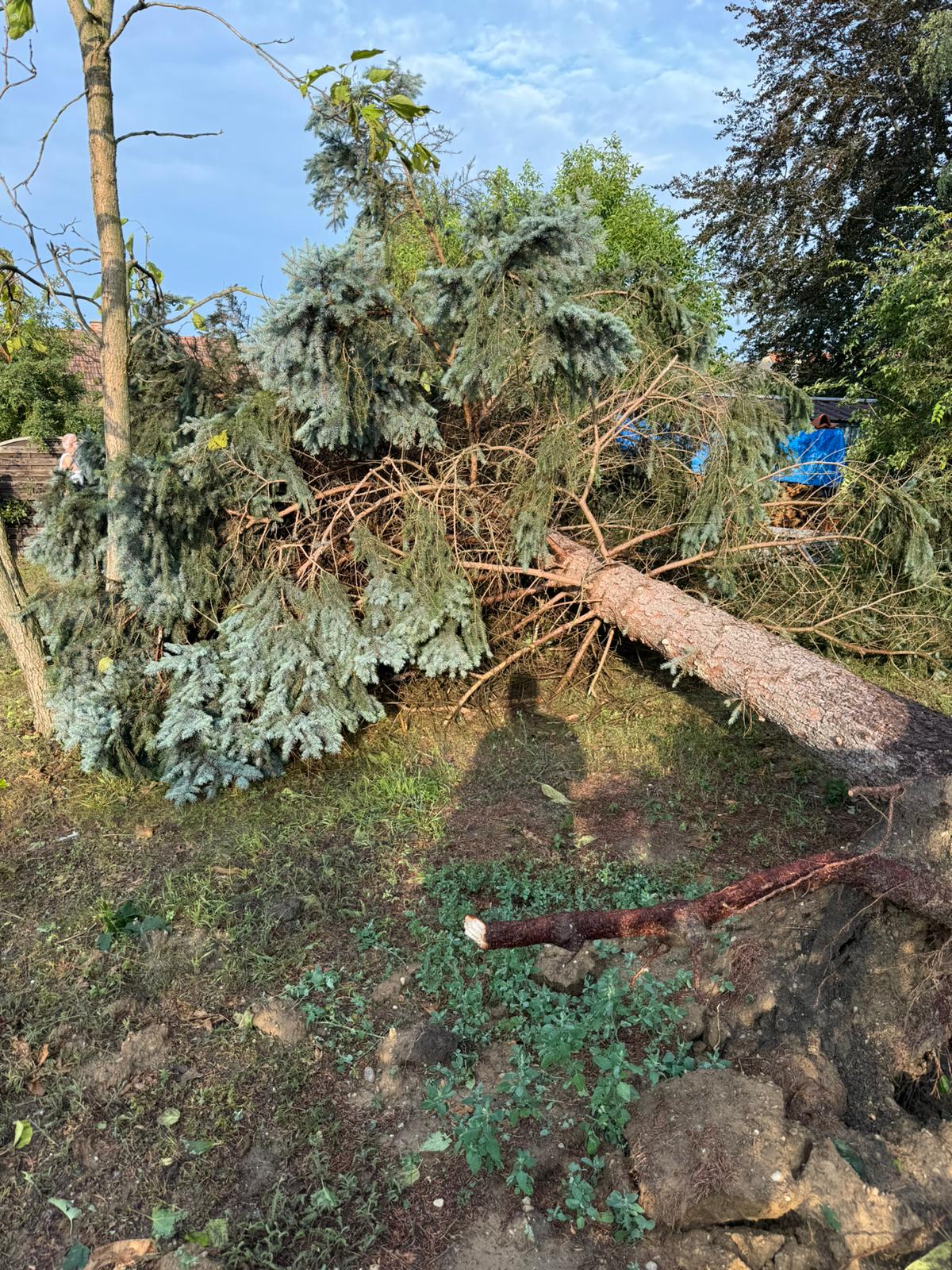 Foto: PGD Hollabrun/FB