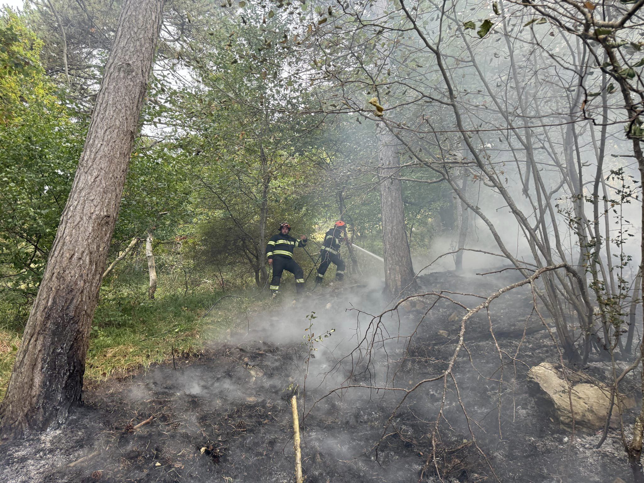 neurje, nevihta, pivka, strela