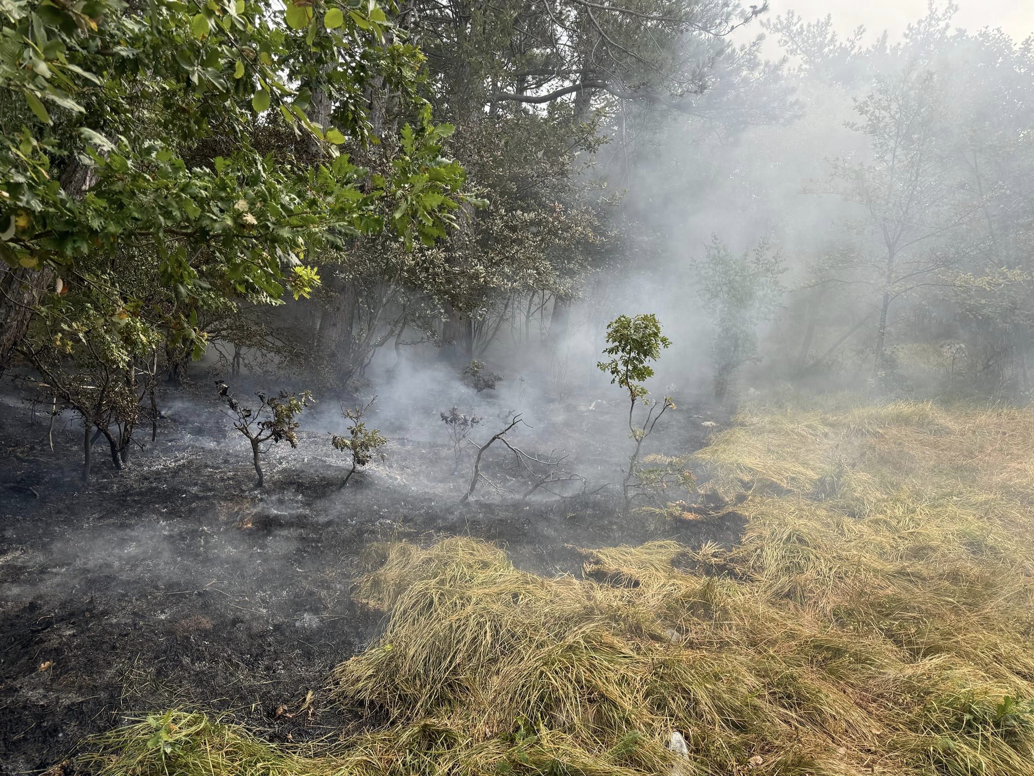 neurje, nevihta, pivka, strela