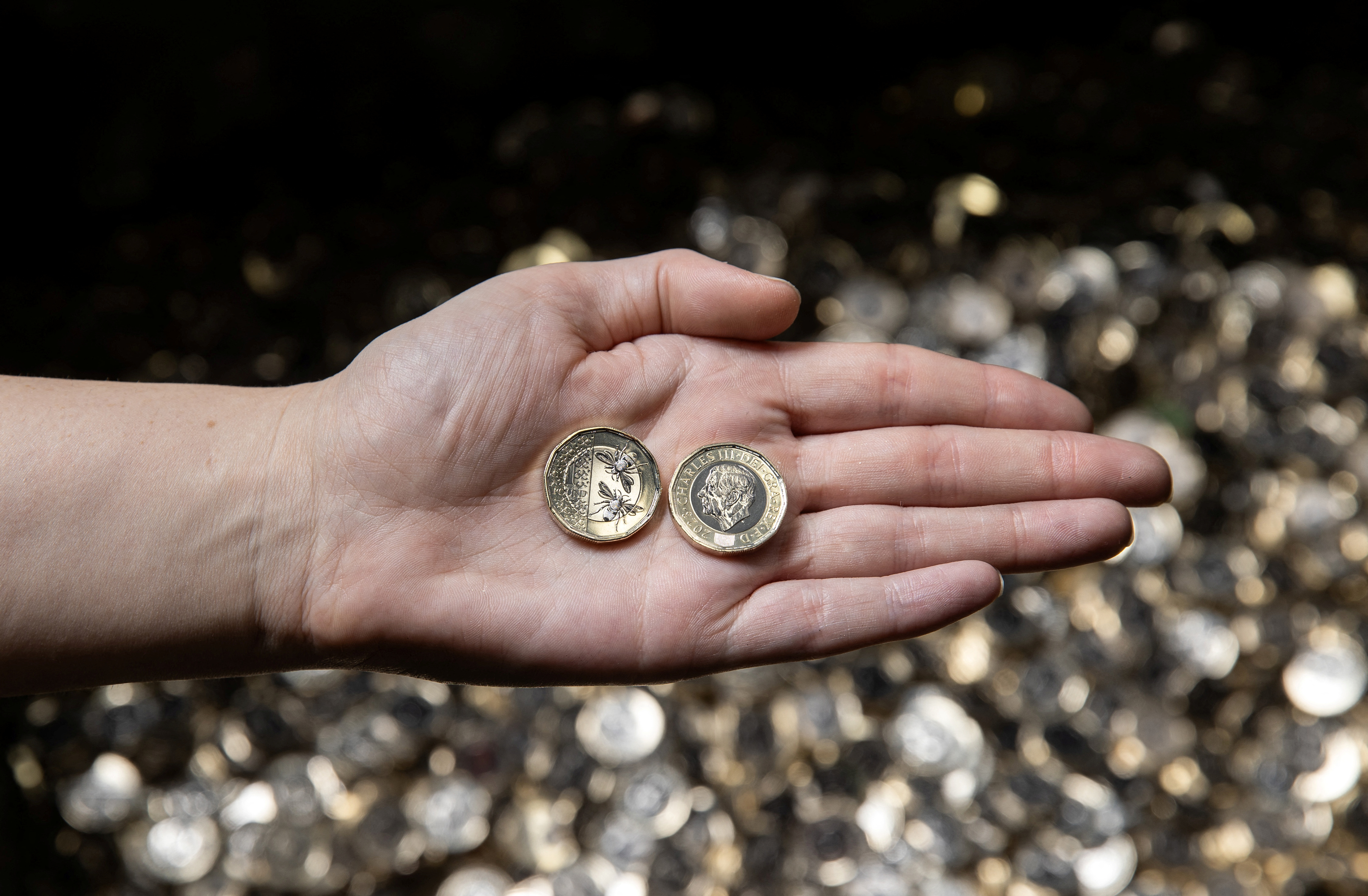 kovanec, en funt, karel iii.