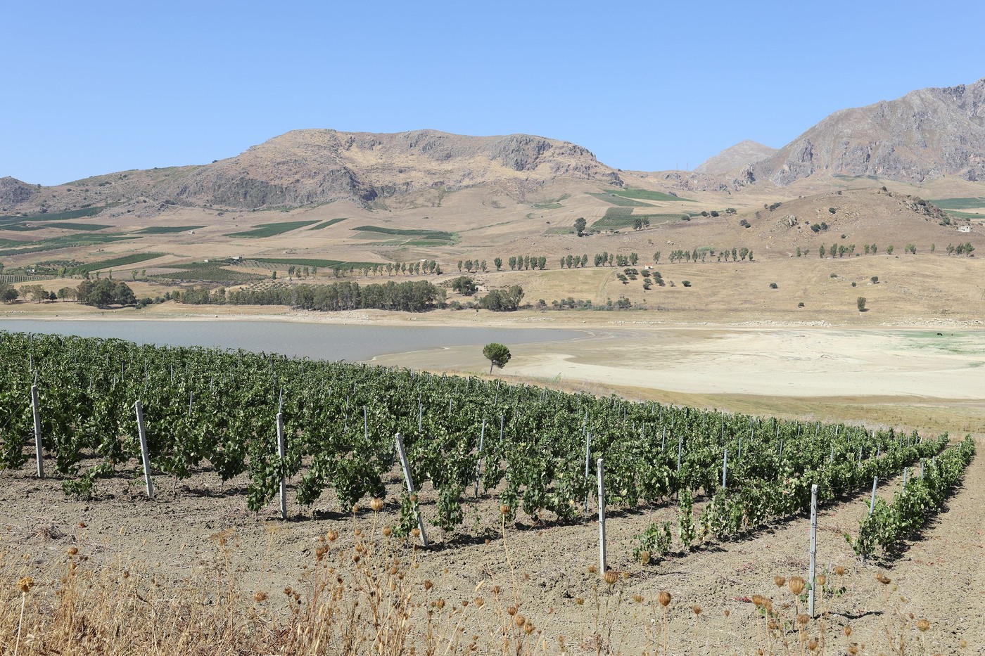 Lake Poma Is Disappearing due to Drought, Partinico, Italy - 01 Aug 2024