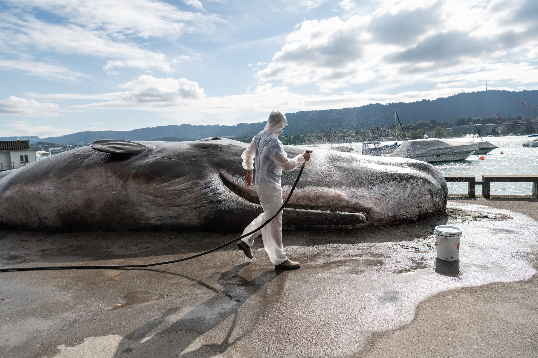 kit, Švica, Zürich
