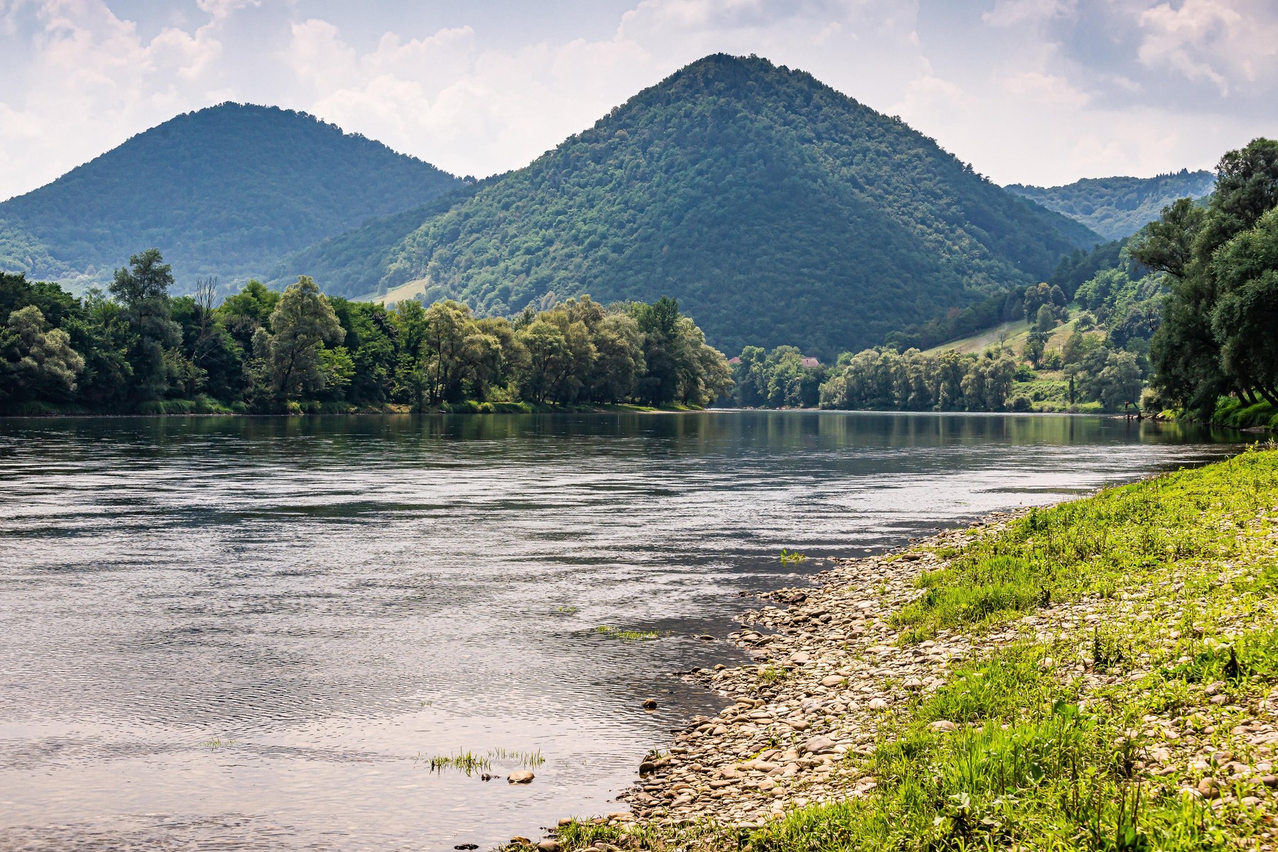 Drina, reka