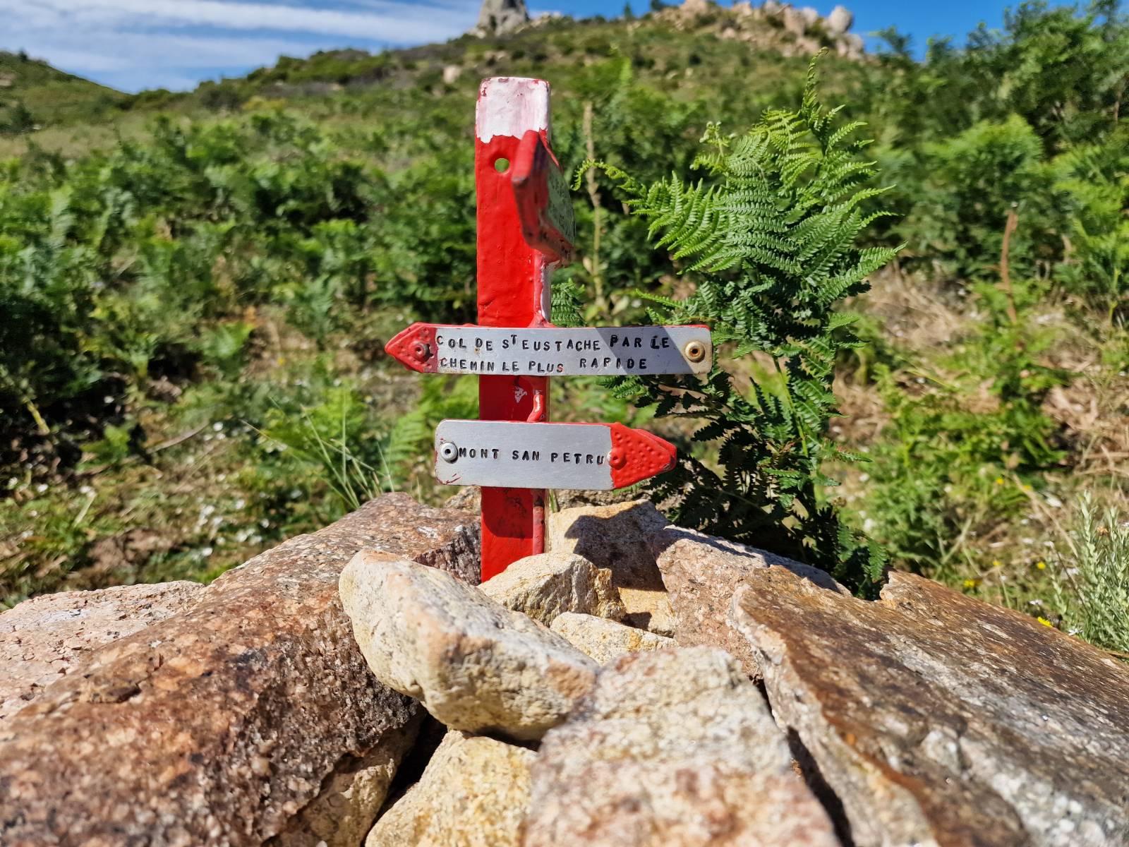 Foto: Andreja Lončar/N1