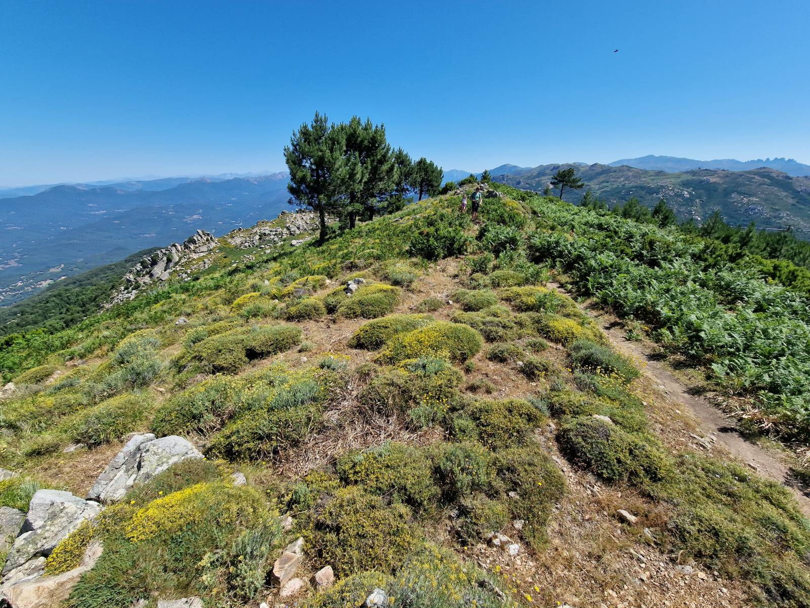 Foto: Andreja Lončar/N1