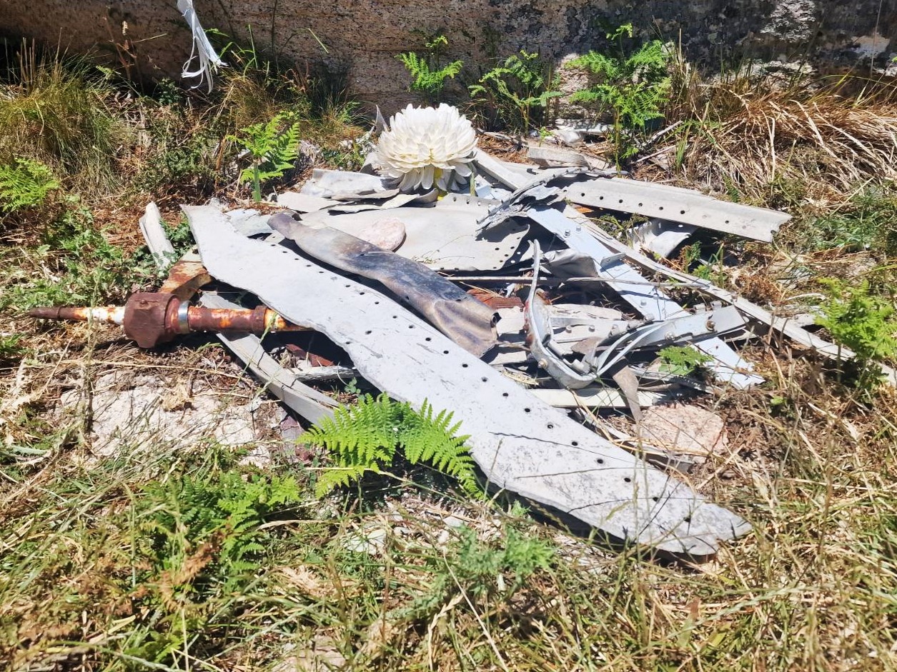 San Pietro, Korzika, letalska nesreča, 1981