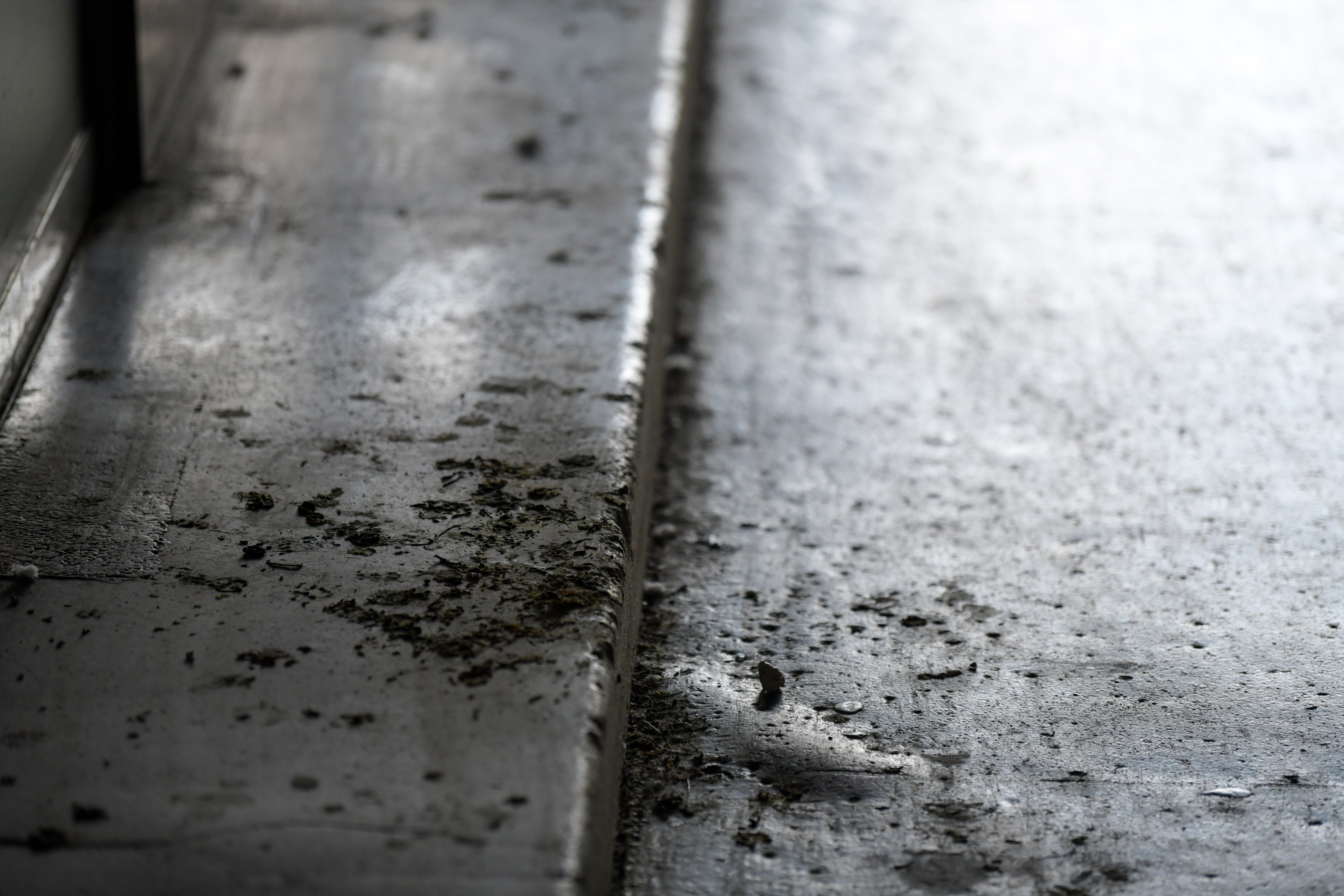 Foto: Denis Sadiković/N1