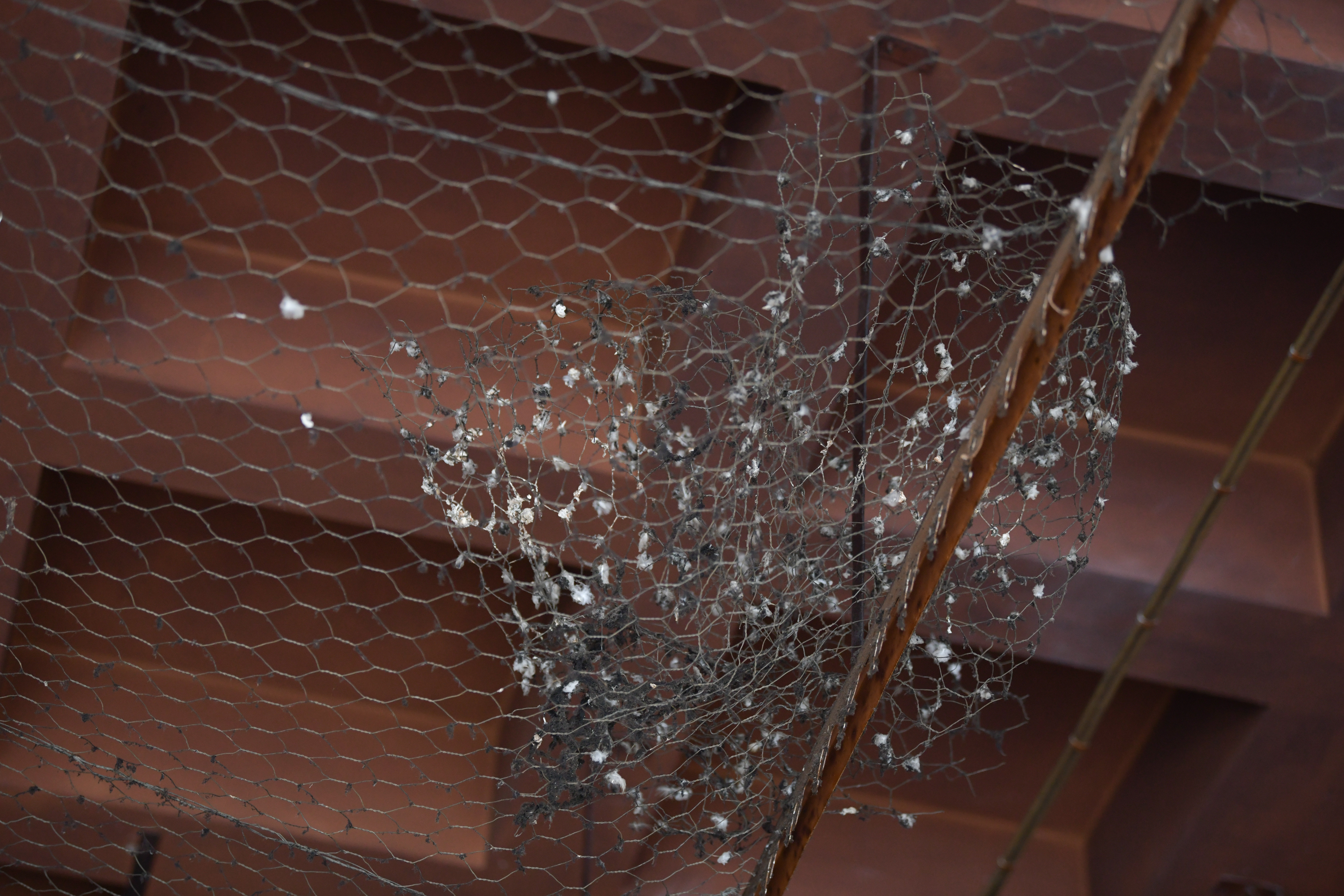 Foto: Denis Sadiković/N1