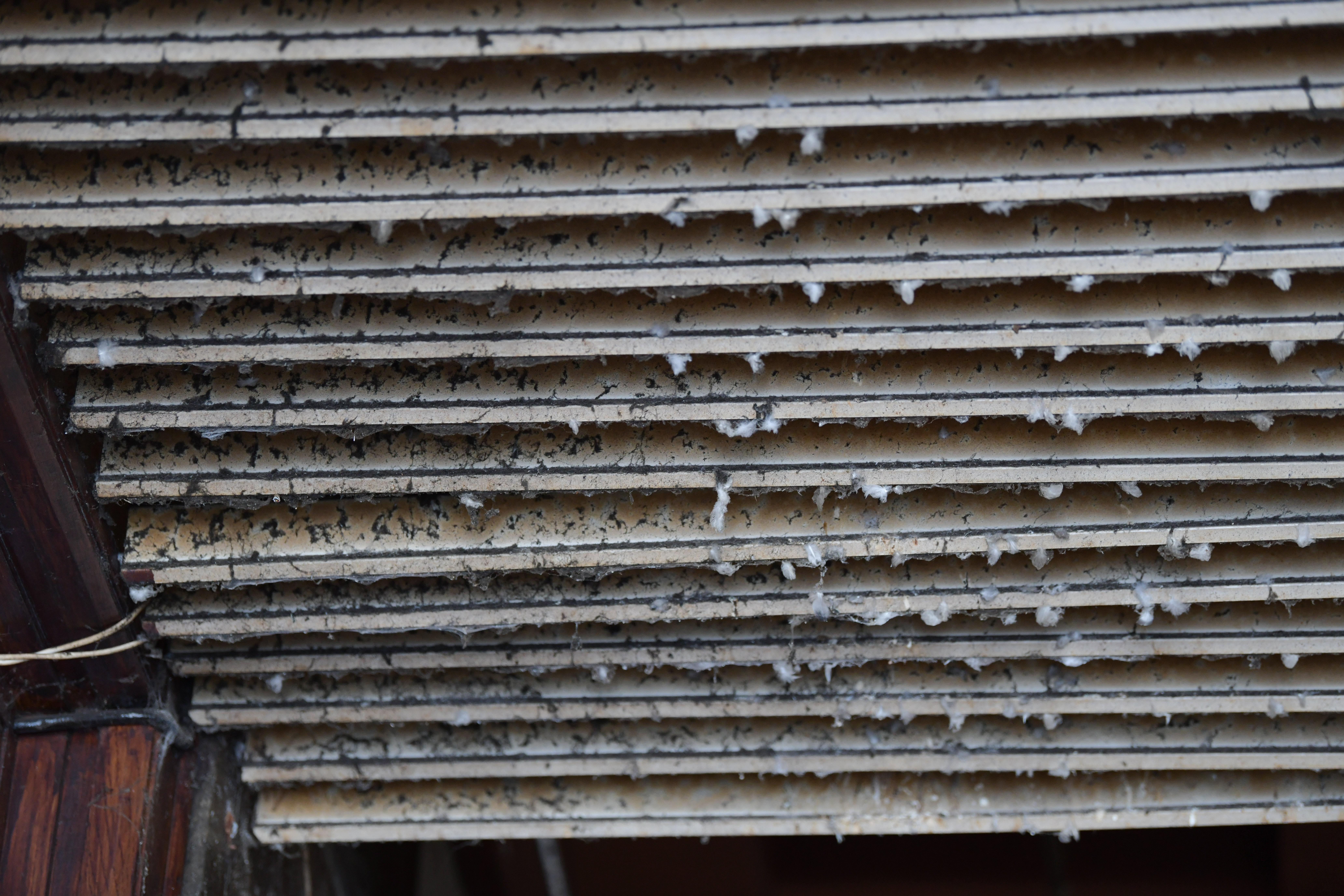 Foto: Denis Sadiković/N1