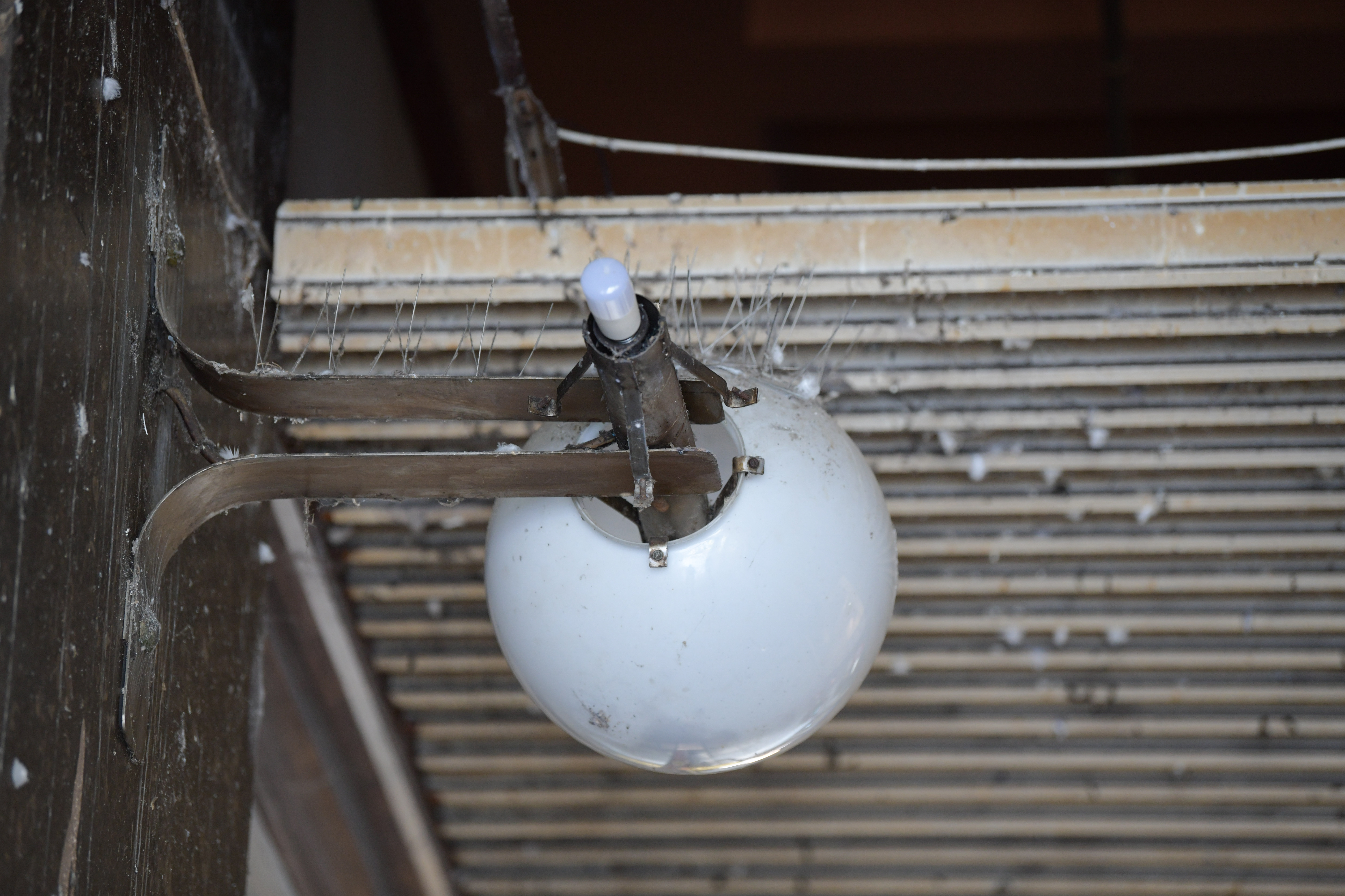 Foto: Denis Sadiković/N1