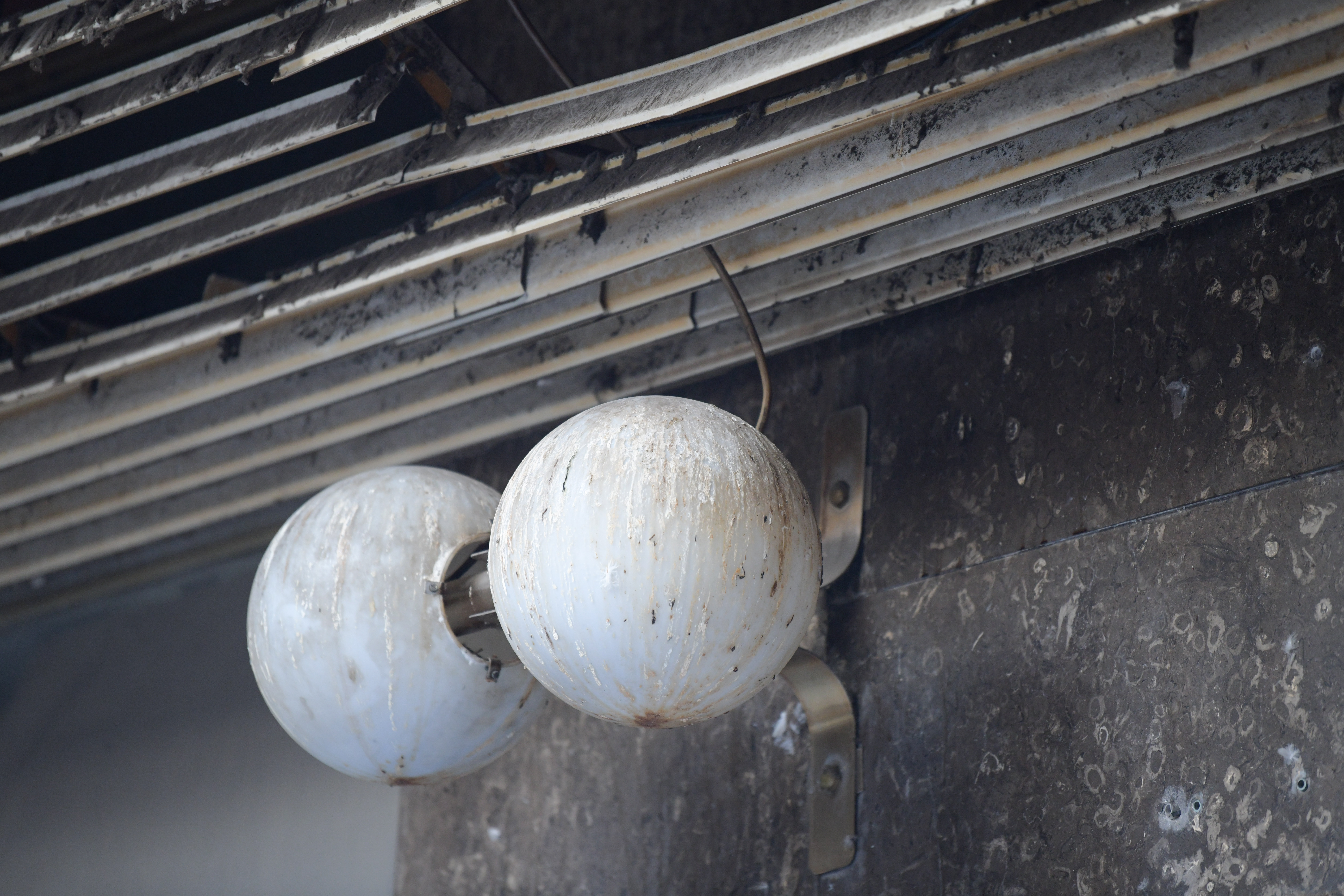 Foto: Denis Sadiković/N1