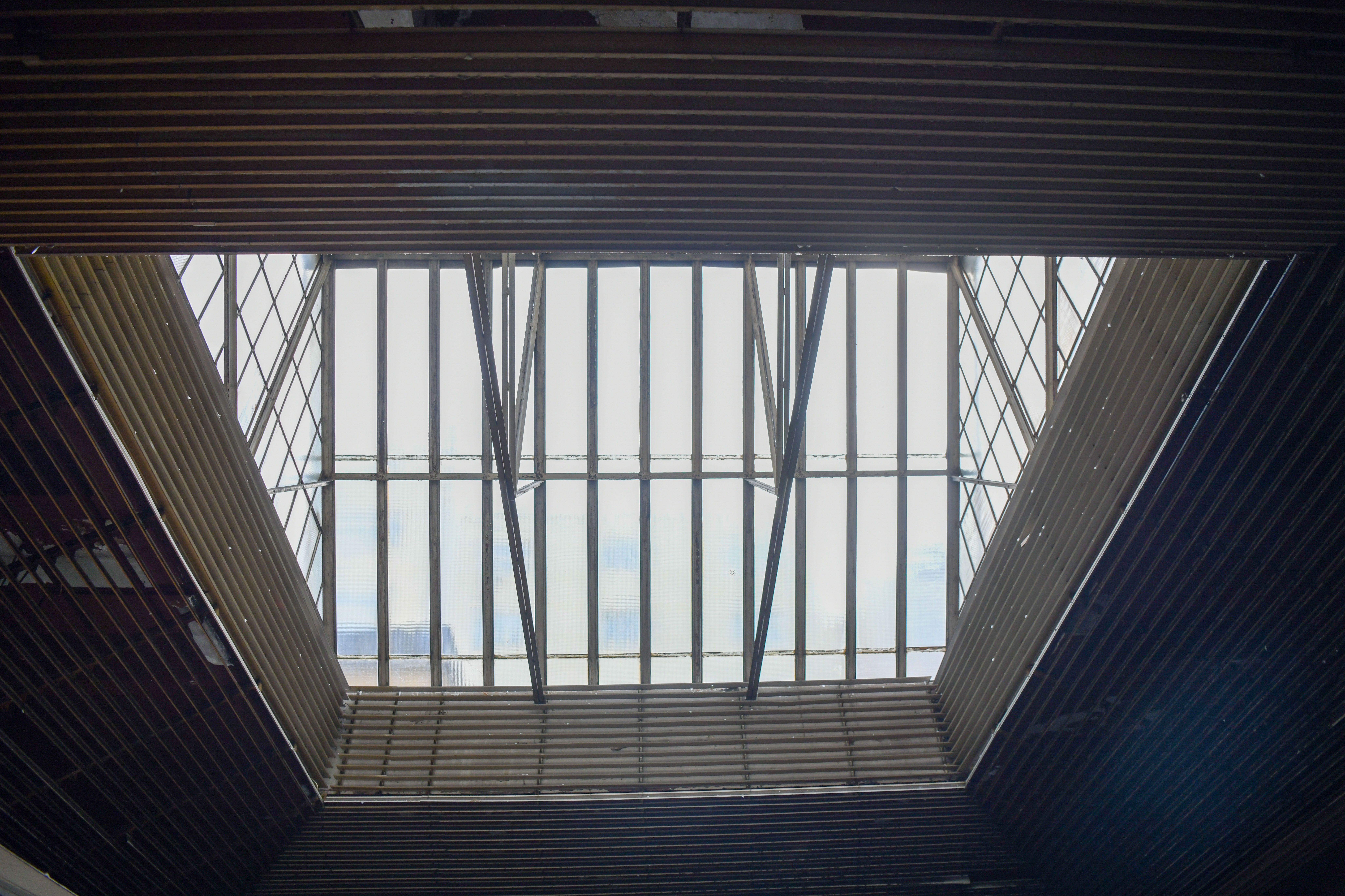 Foto: Denis Sadiković/N1