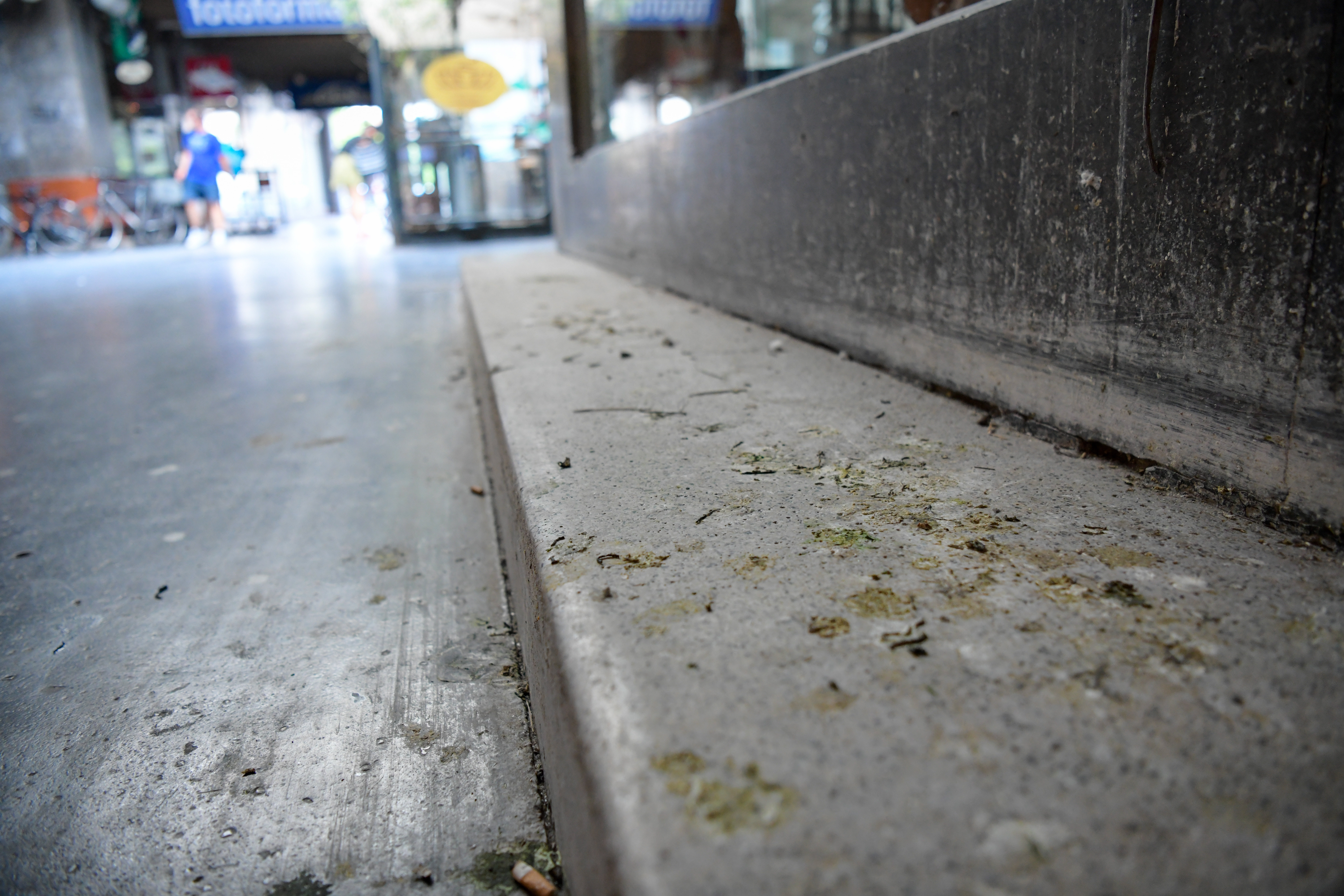 Foto: Denis Sadiković/N1