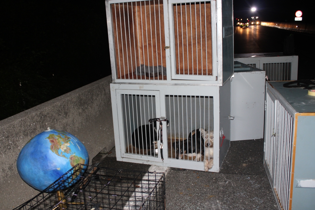 prometna nesreča, štajerska avtocesta