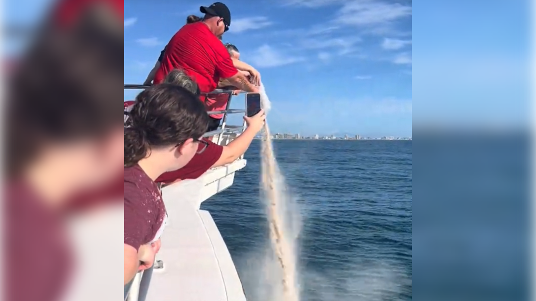 high-res-image - 2024-08-23T141058.288