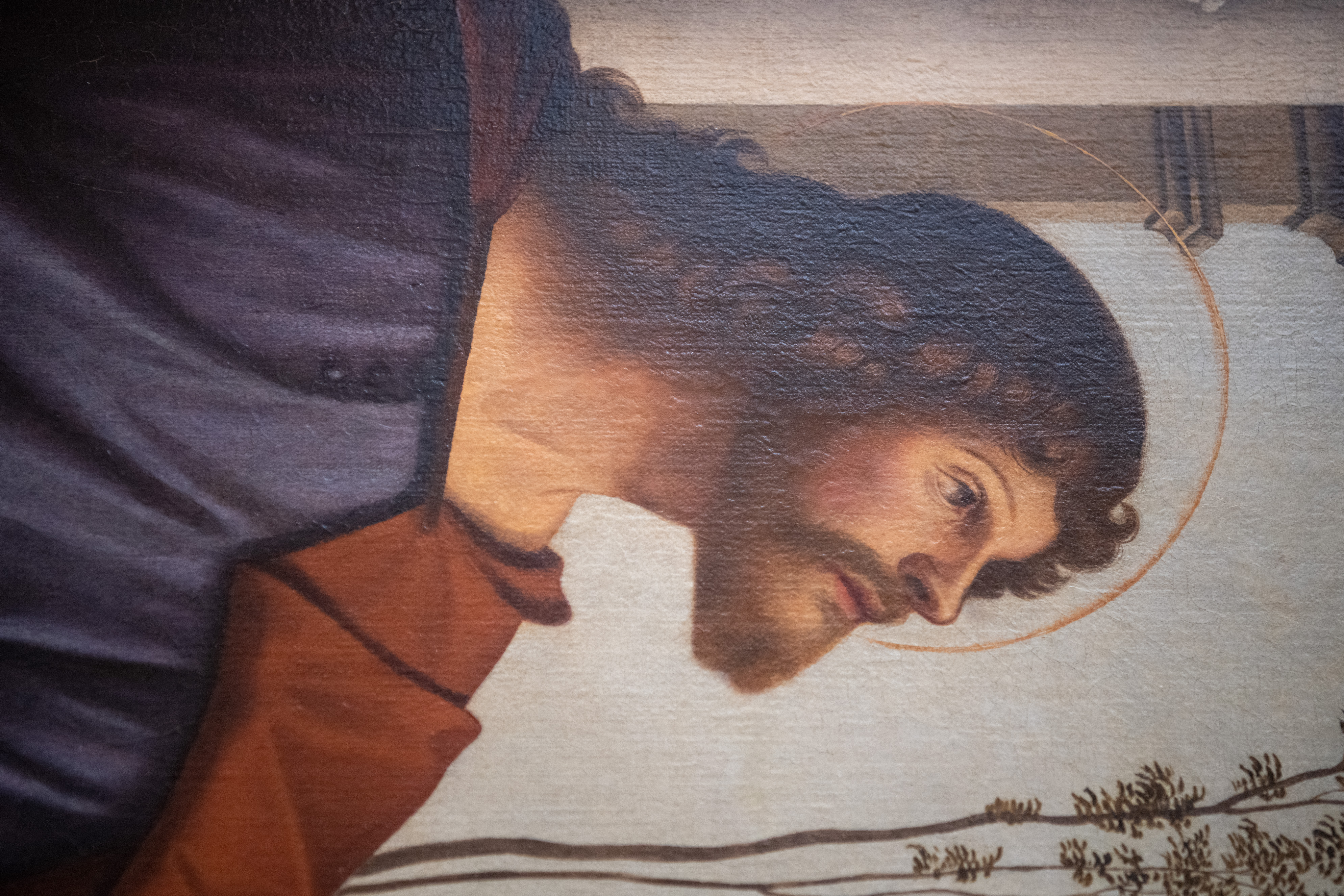 Vittore Carpaccio, restavratorski center, umetnost, restavriranje,