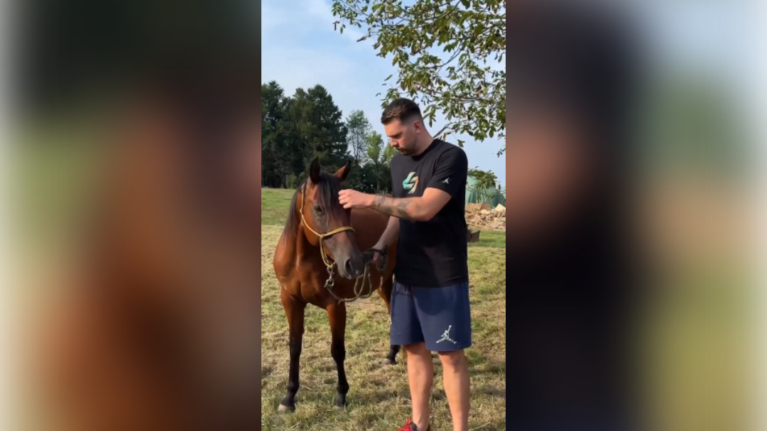 Luka Dončić, kmetija