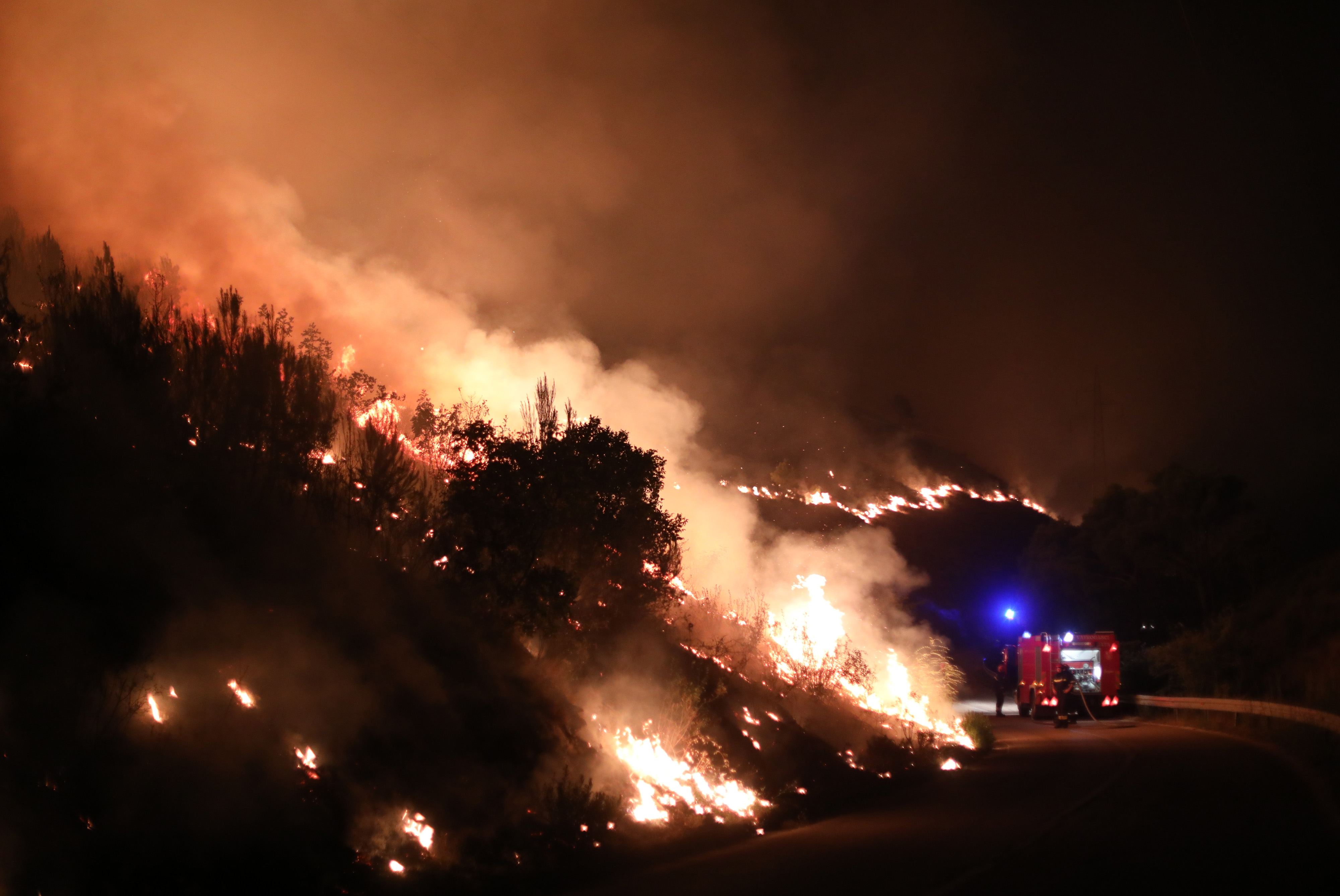 Foto: Ivo Cagalj/PIXSELL/BOBO