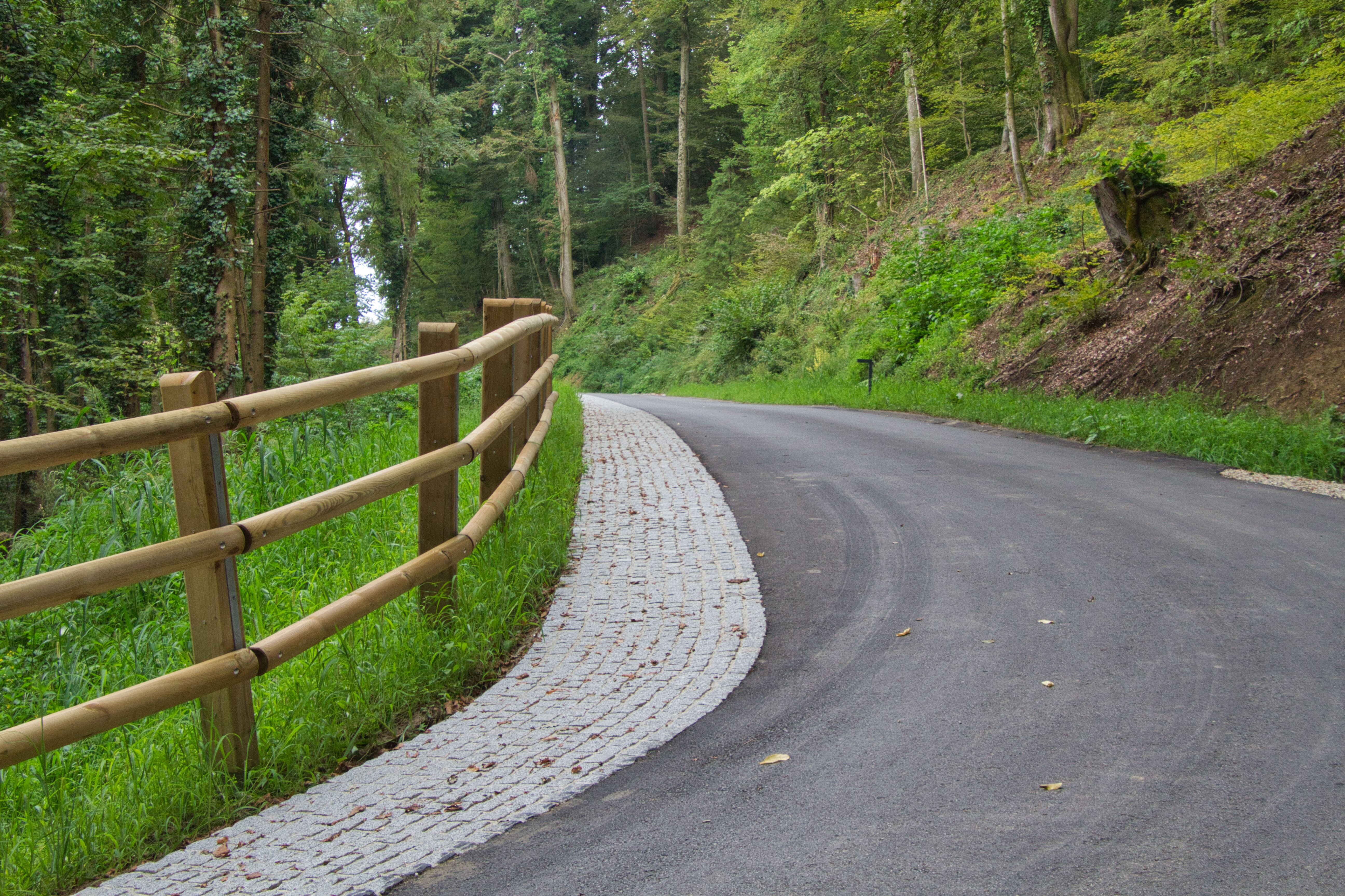 Foto: Borut Pihlar/OBČINA PODČETRTEK