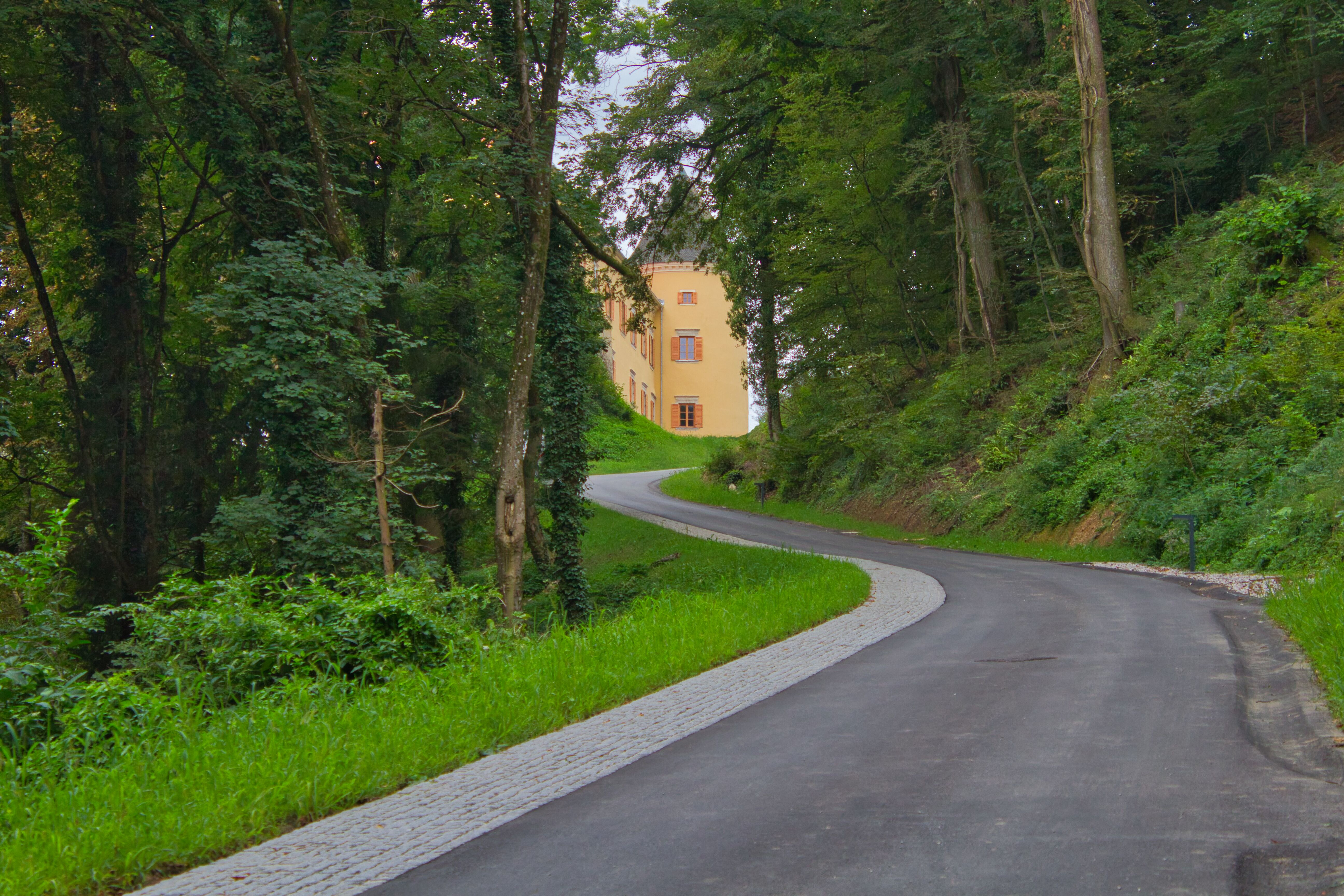 Foto: Borut Pihlar/OBČINA PODČETRTEK
