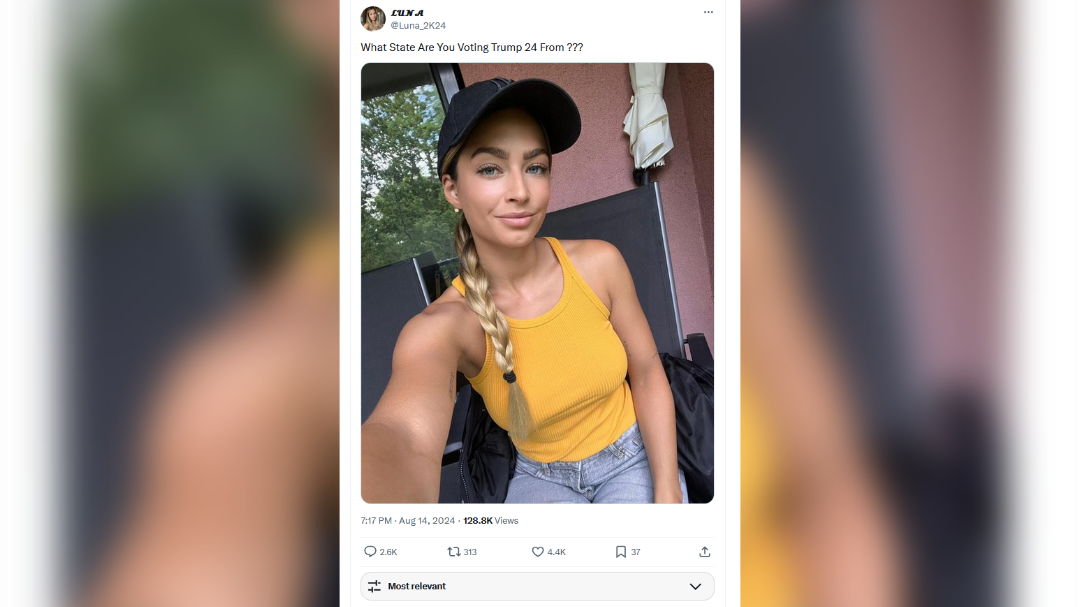 lažni računi, kraja identitete, ameruške volitve