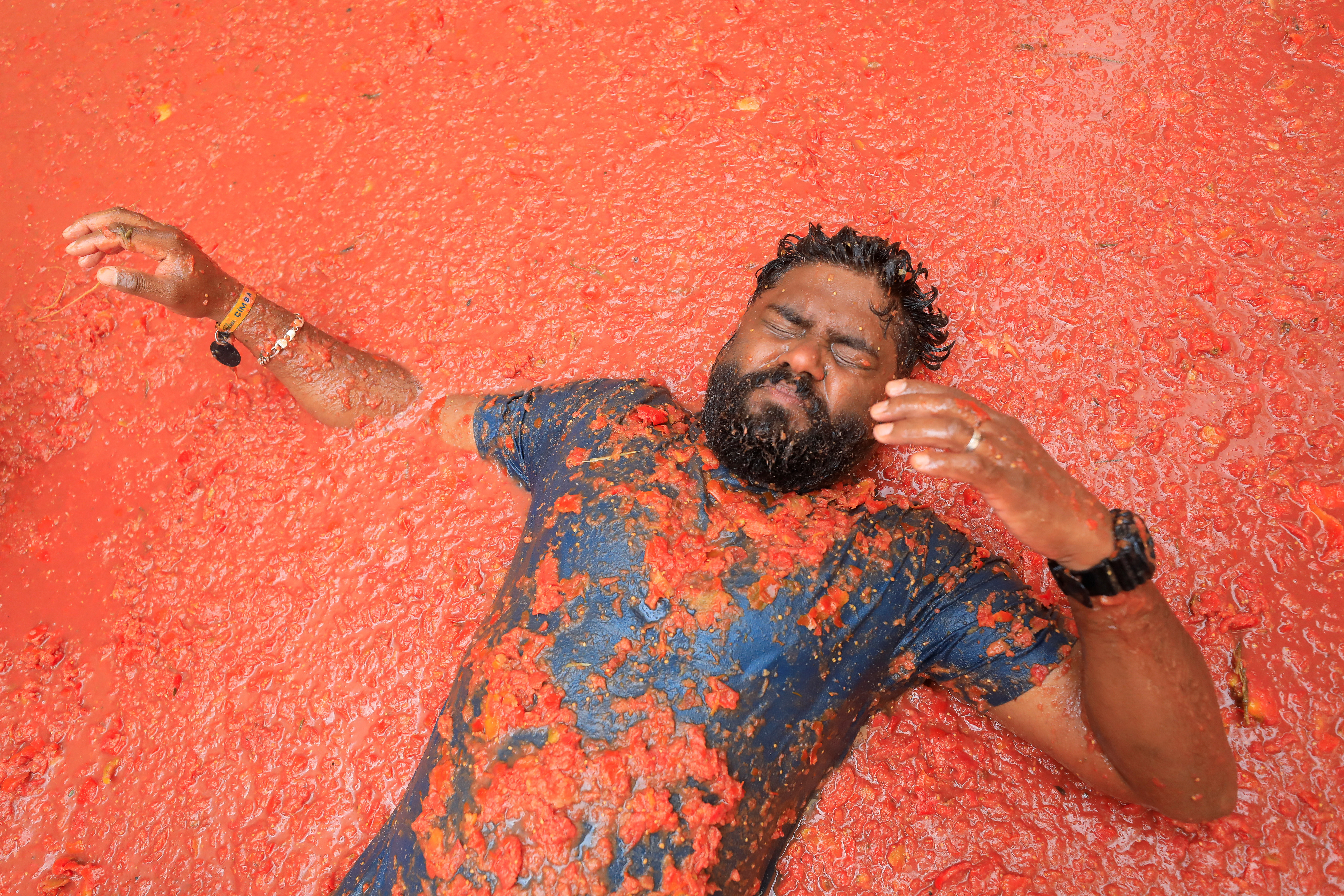 paradižnik, la tomatina ,festival