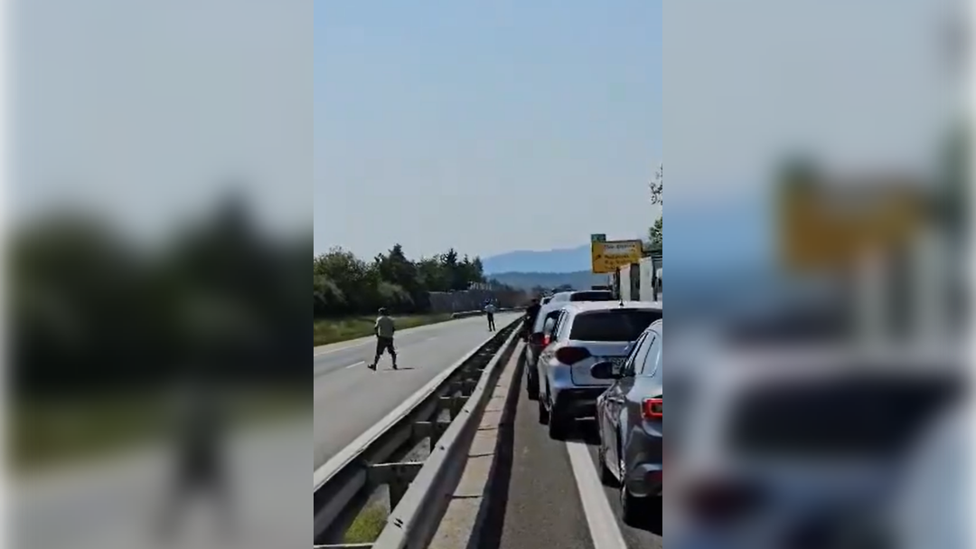 dars, reševalni pas, hoja po avtocesti